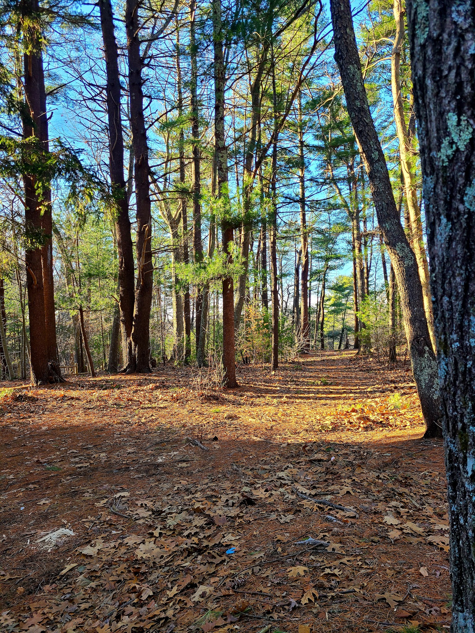 Friends of Boyden Refuge - Taunton, MA