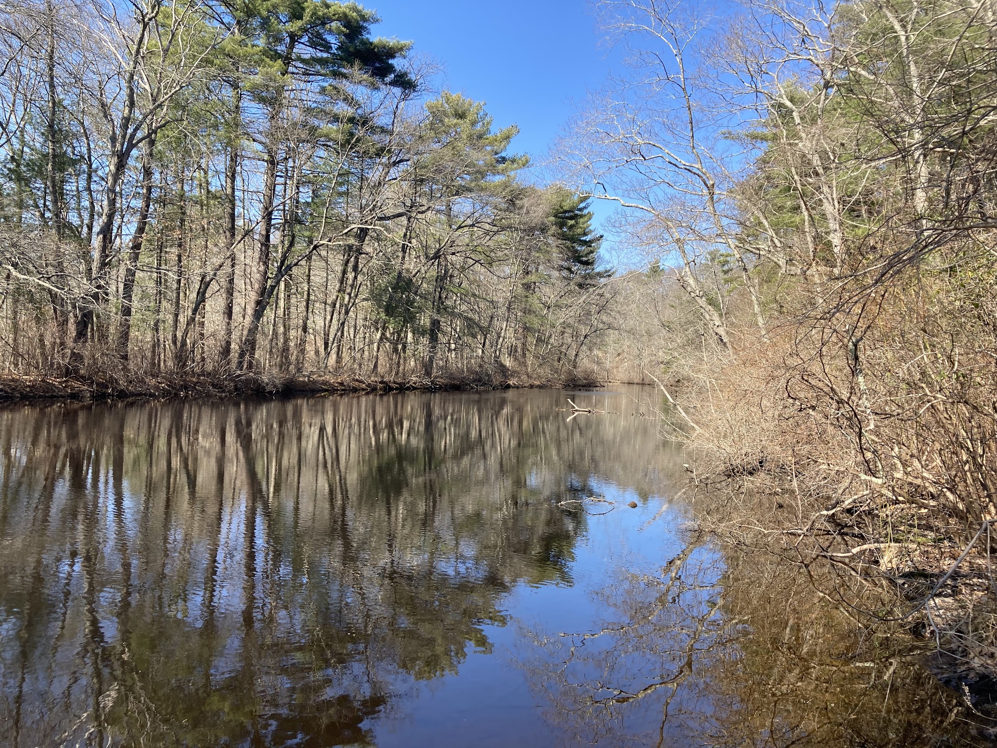 Friends of Boyden Refuge - Taunton, MA