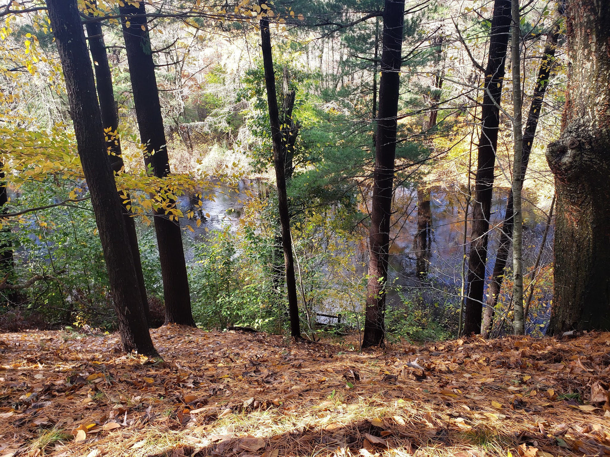Friends of Boyden Refuge - Taunton, MA