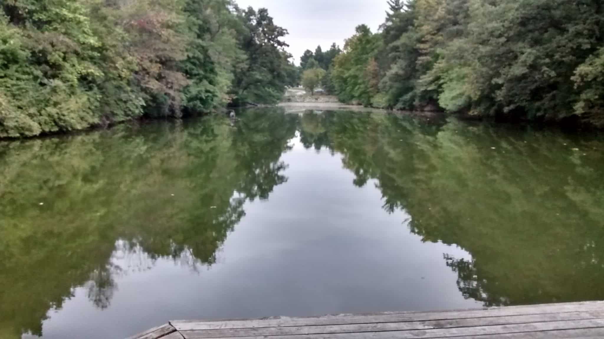 Manners Park Office - Taylorville, IL