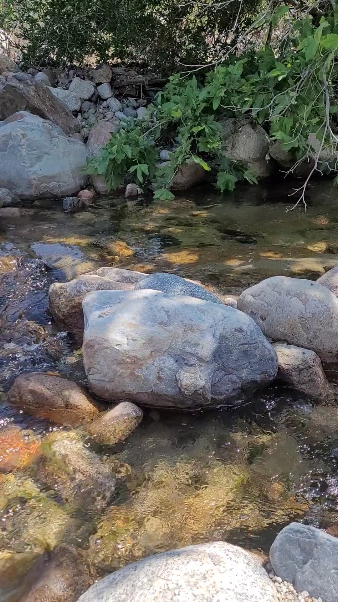 Dripping Springs Trailhead - Temecula, CA