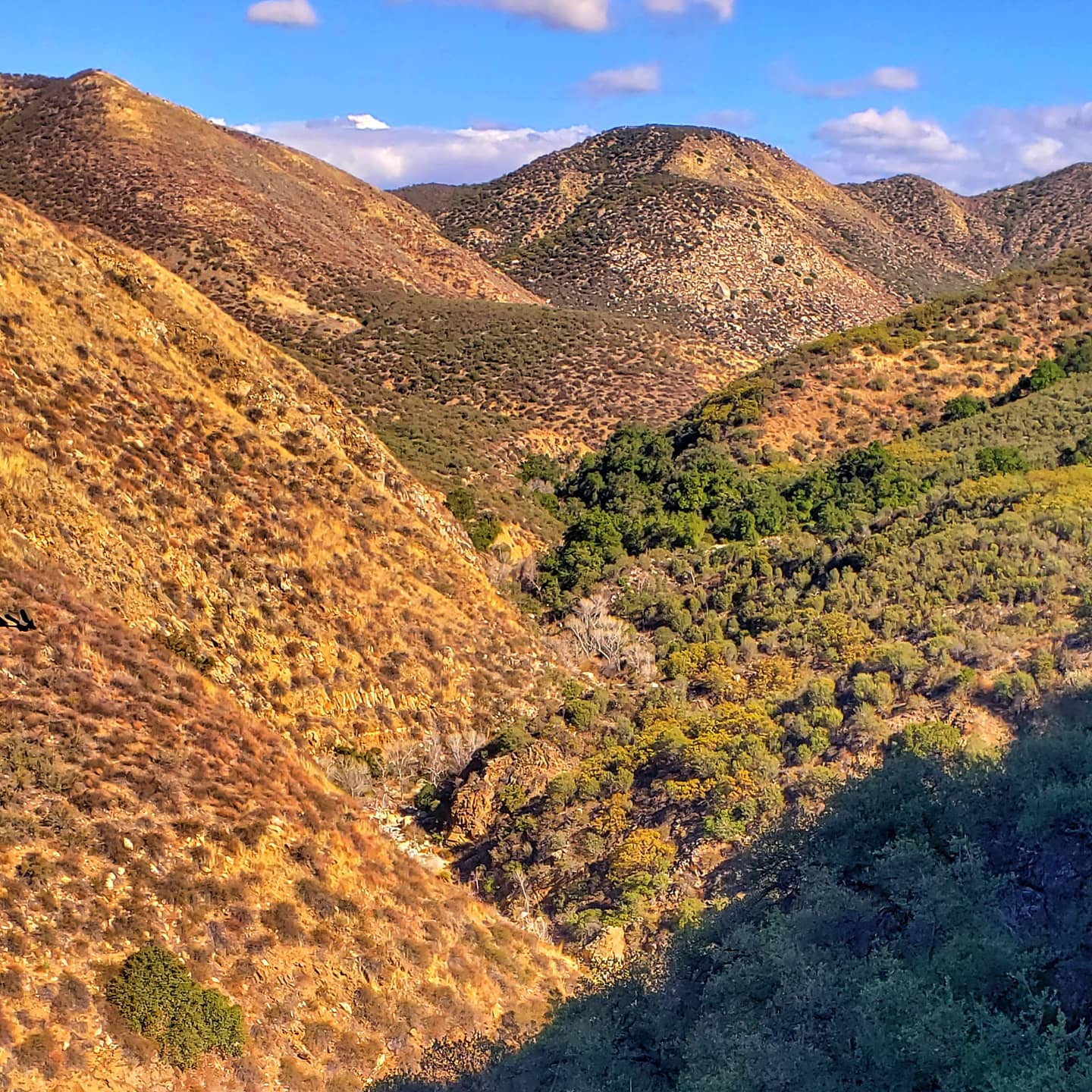 Dripping Springs Trailhead - Temecula, CA