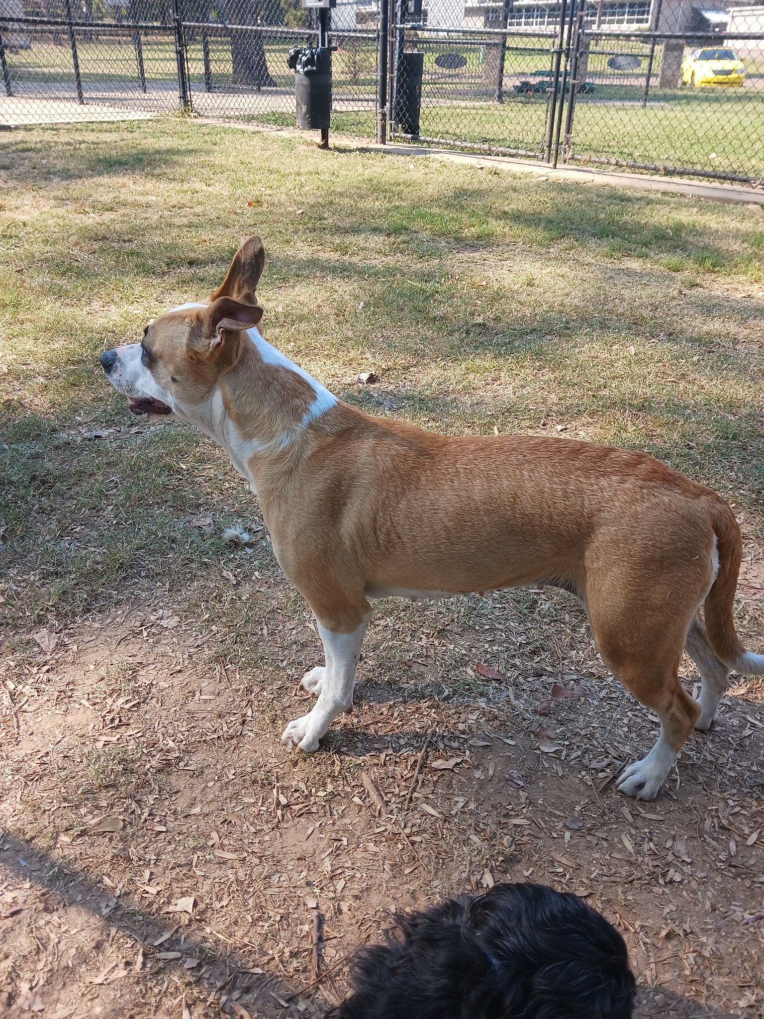 Jefferson Park Outdoor Amphitheater - Texarkana, AR