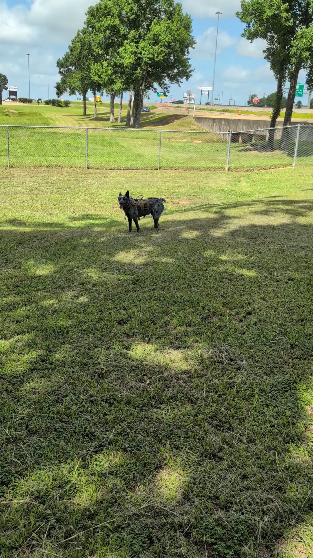 Spring Lake Park Dog Park - Texarkana, TX