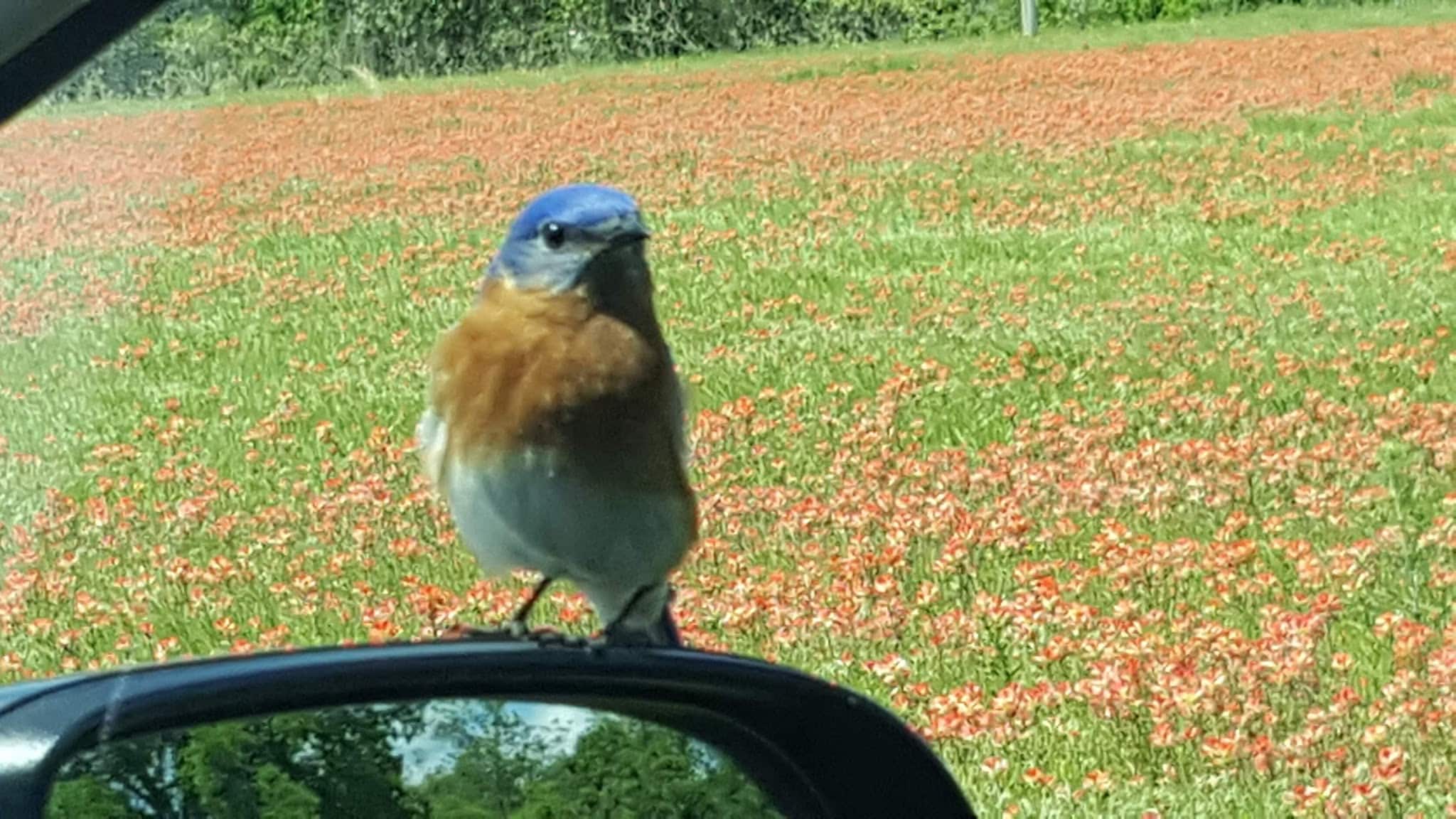 Thackerville Park - Thackerville, OK