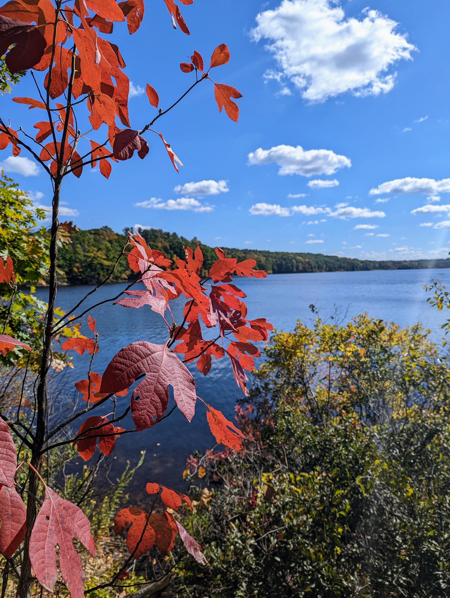 West Thompson Dam River Trail - Thompson, CT
