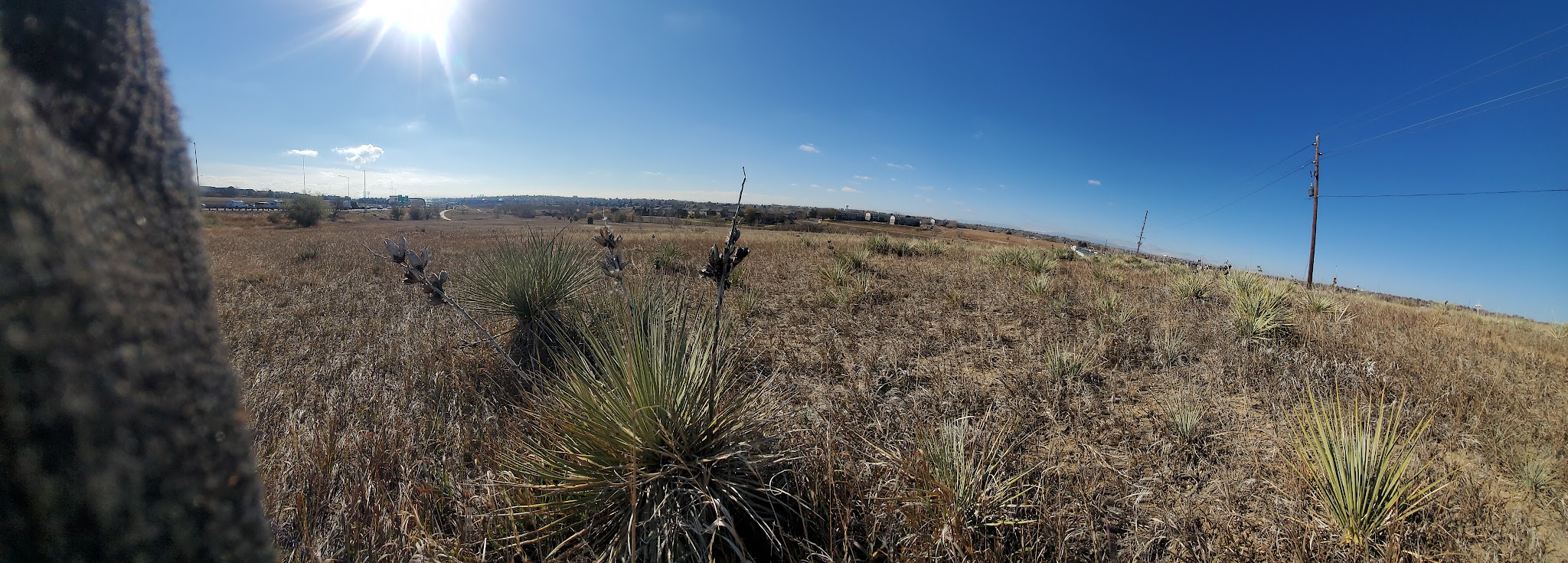 Niver Creek Open Space - Thornton, CO
