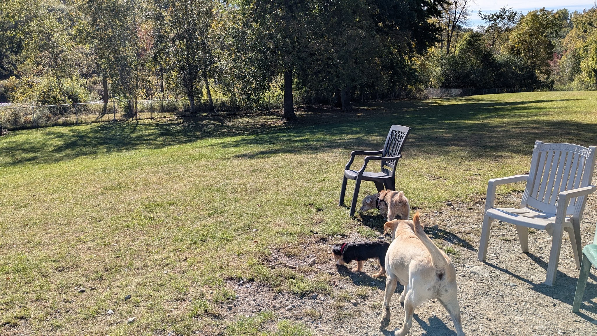 Ticonderoga Dog Park - Ticonderoga, NY