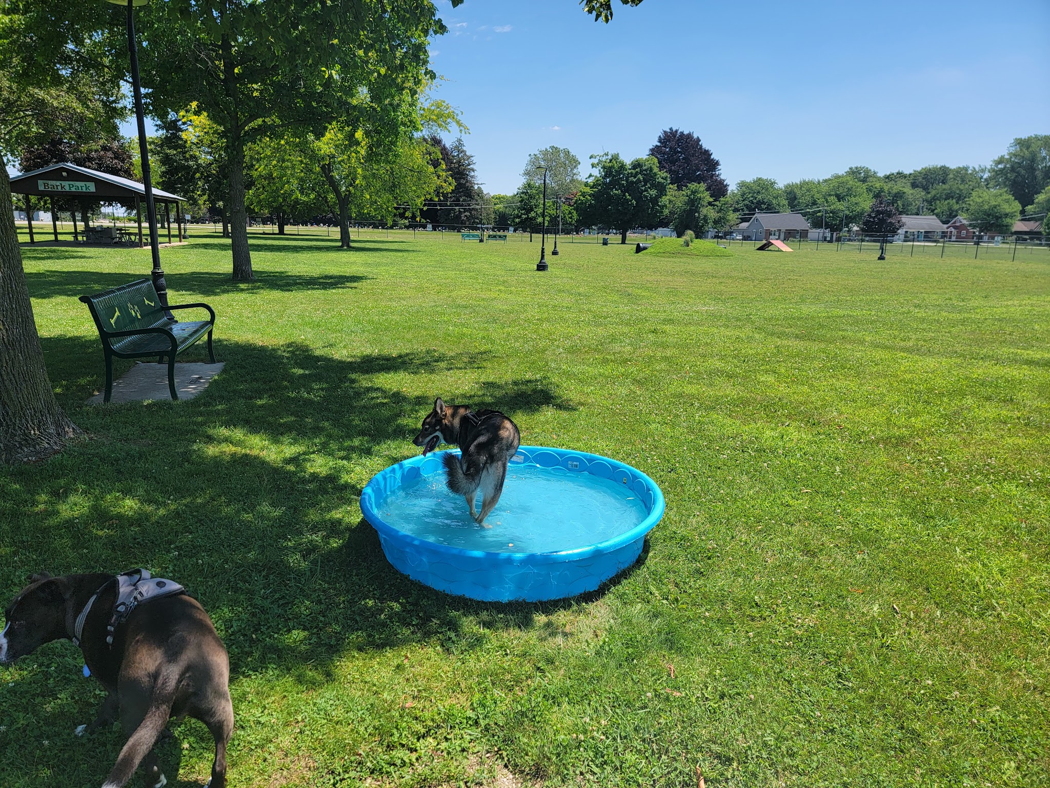 Bark Park - Tiffin, OH