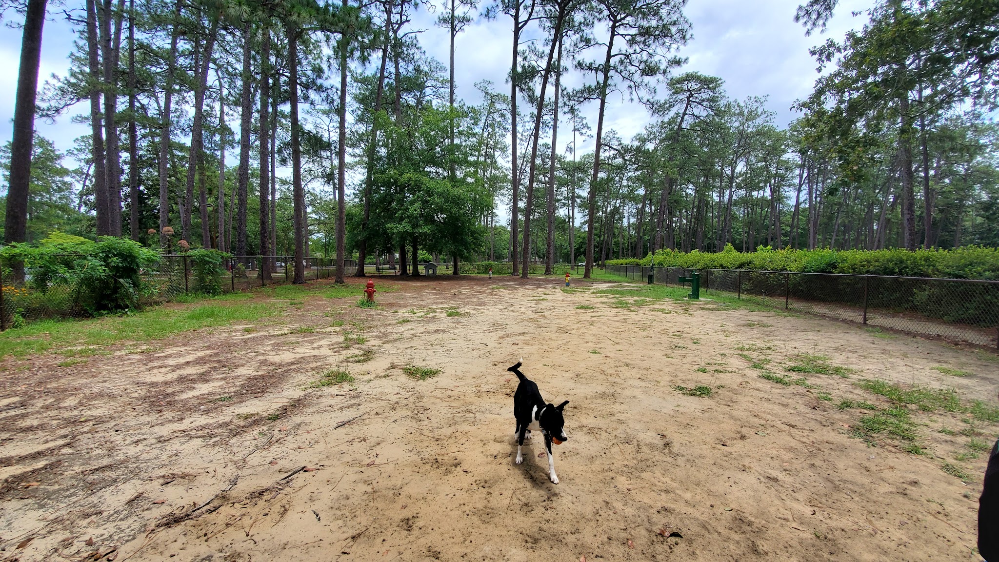 Fulwood City of Tifton Dog Park - Tifton, GA