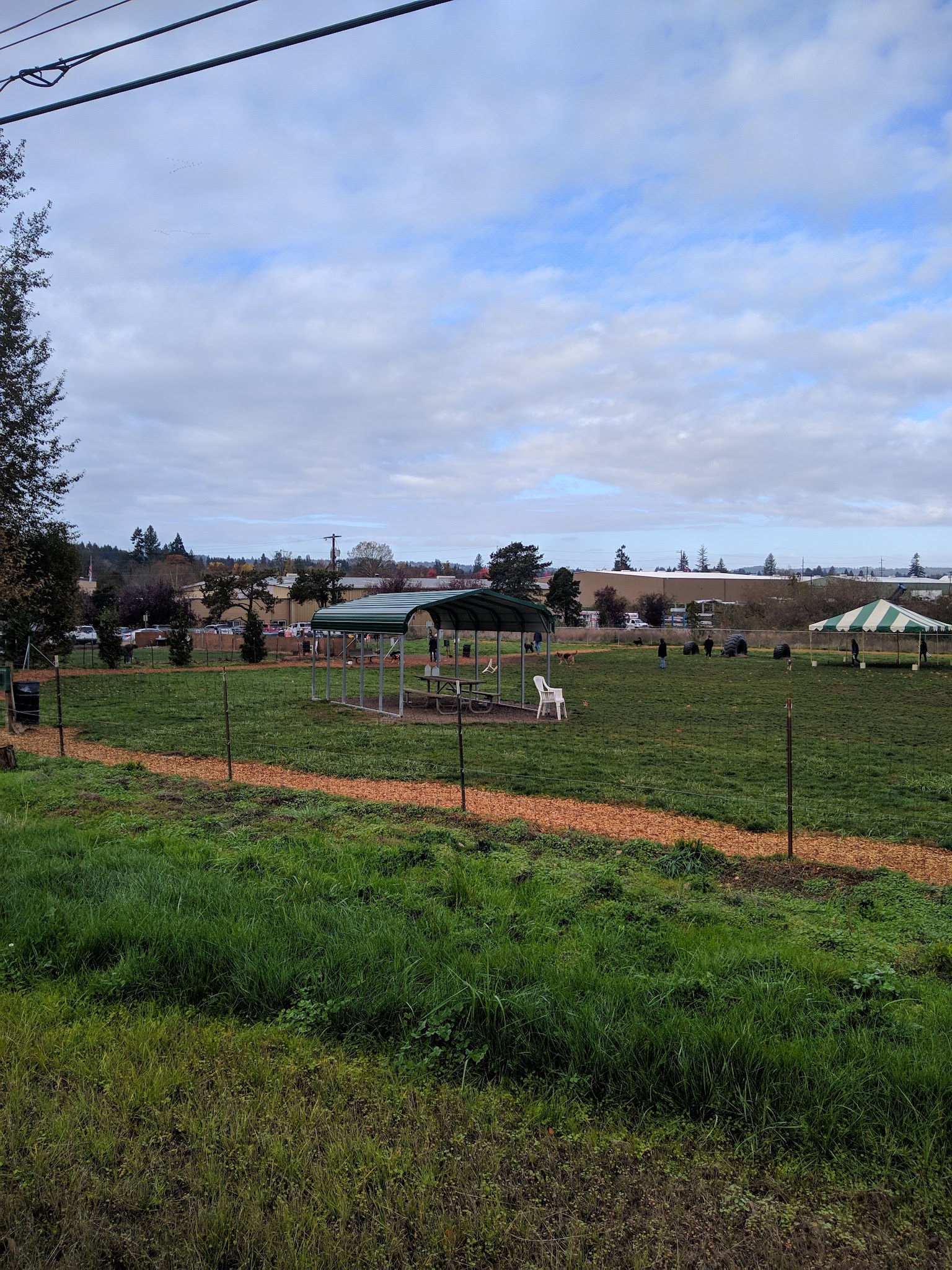 Potso Dog Park - Tigard, OR