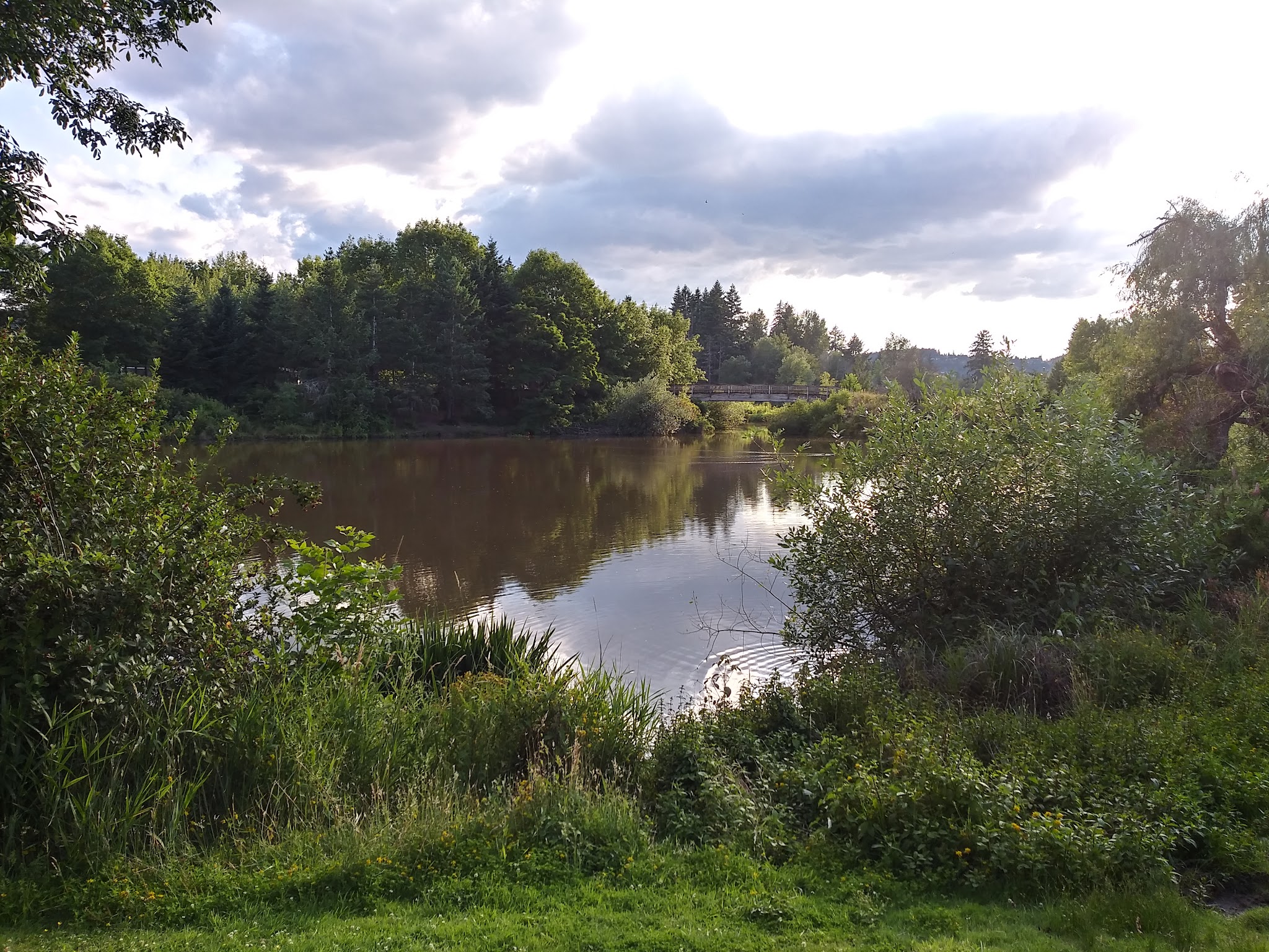 Summerlake Dog Park - Tigard, OR