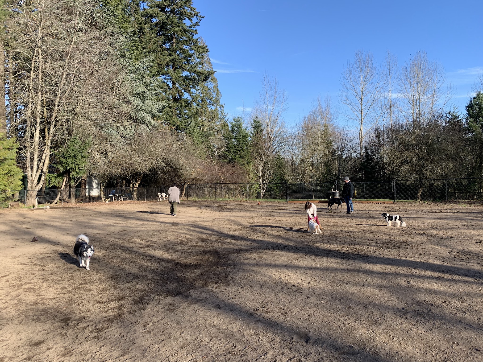 Summerlake Dog Park - Tigard, OR