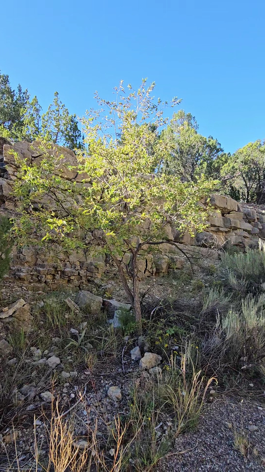 Otero Trailhead - Tijeras, NM