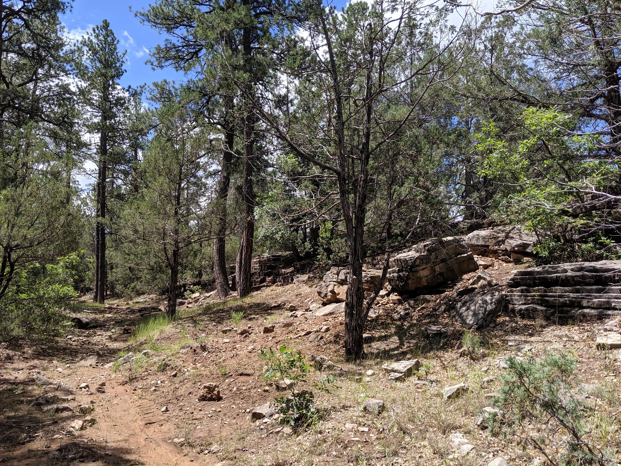 PINE FLAT PICNIC AREA - Tijeras, NM