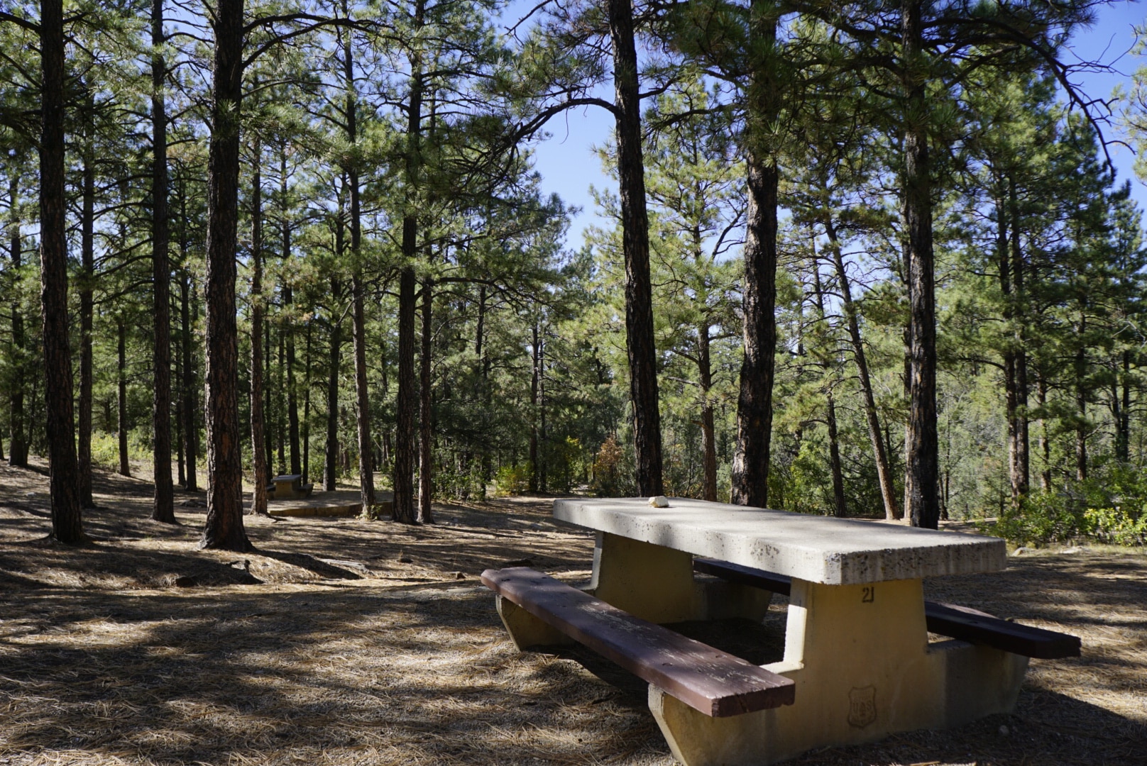 PINE FLAT PICNIC AREA - Tijeras, NM