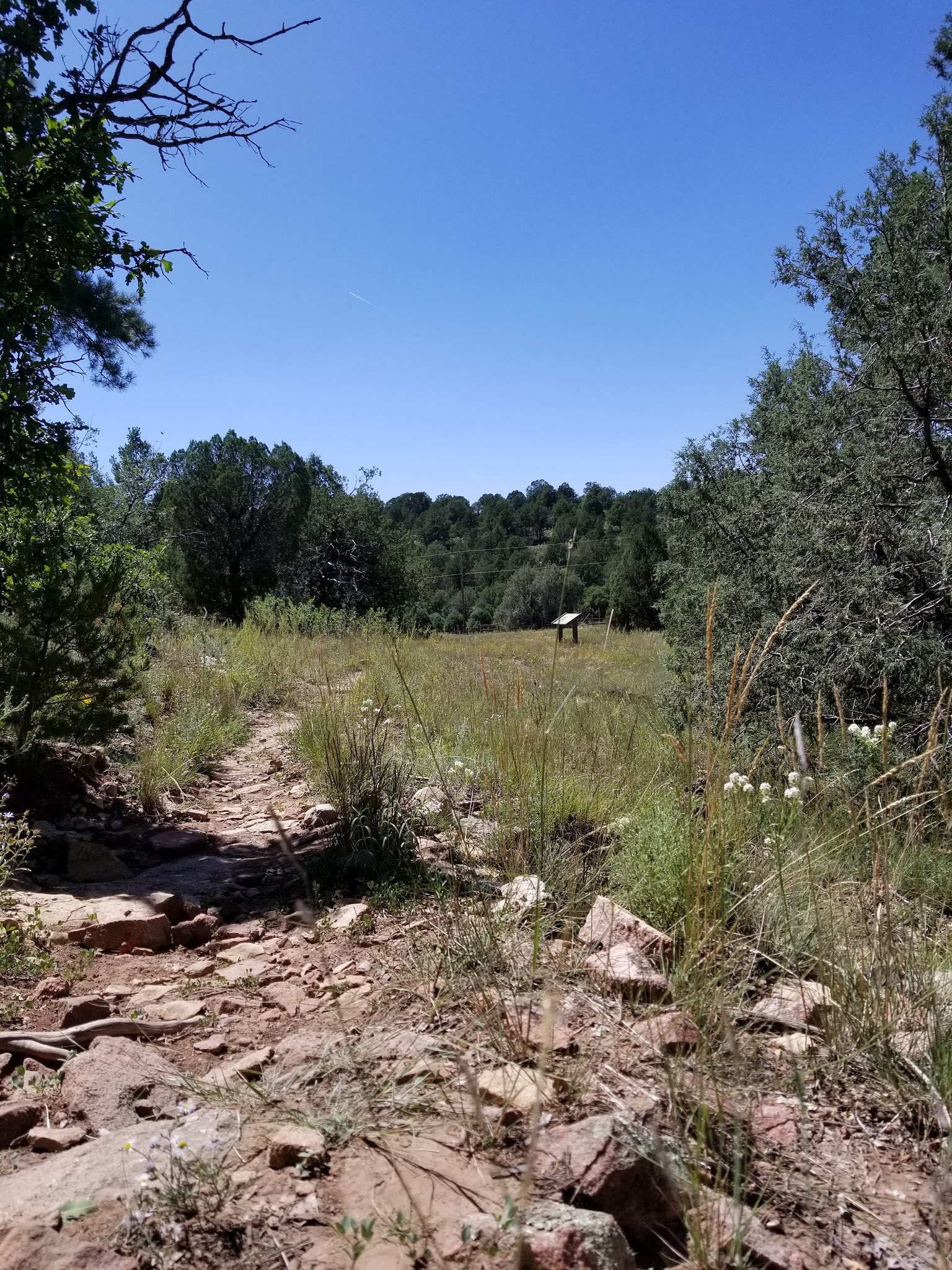 Sabino Canyon Trail - Tijeras, NM