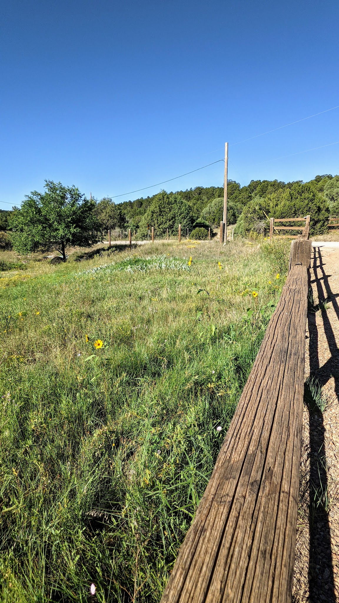 Sabino Canyon Trail - Tijeras, NM