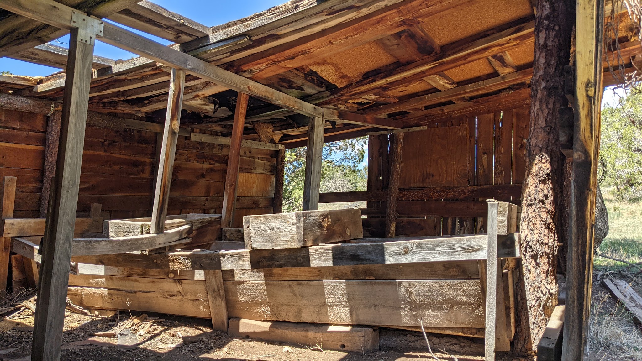 Sabino Canyon Trail - Tijeras, NM