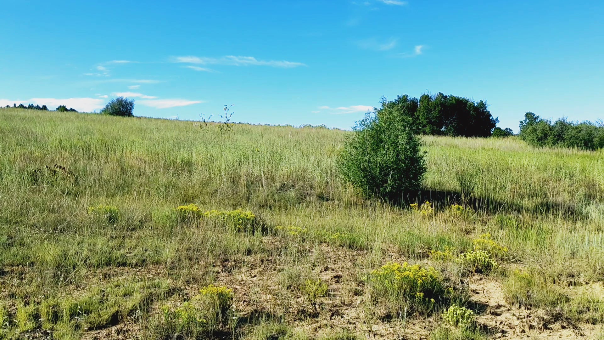 Sabino Canyon Trail - Tijeras, NM