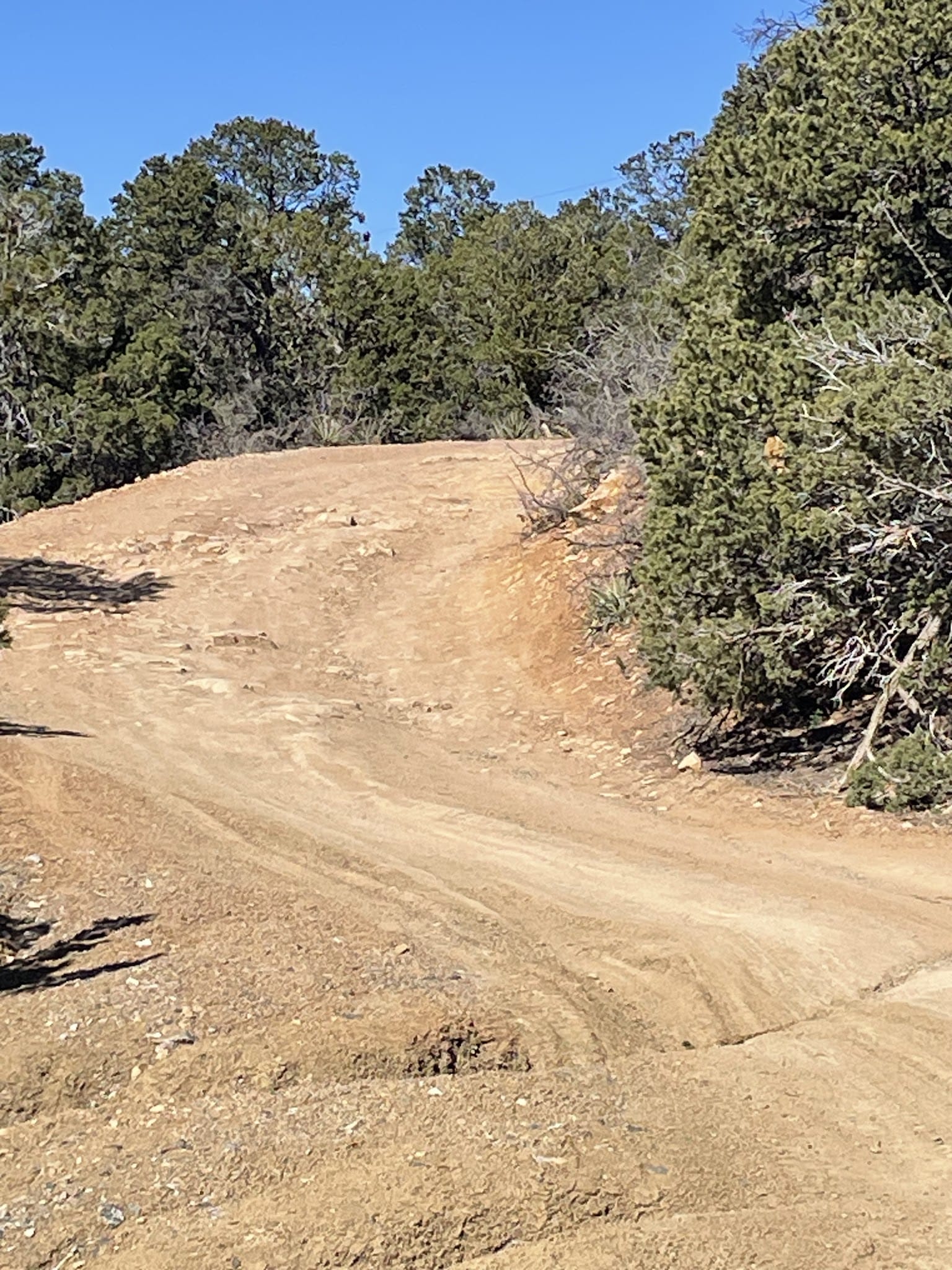 Cedro Peak Trailhead - Tijeras, NM