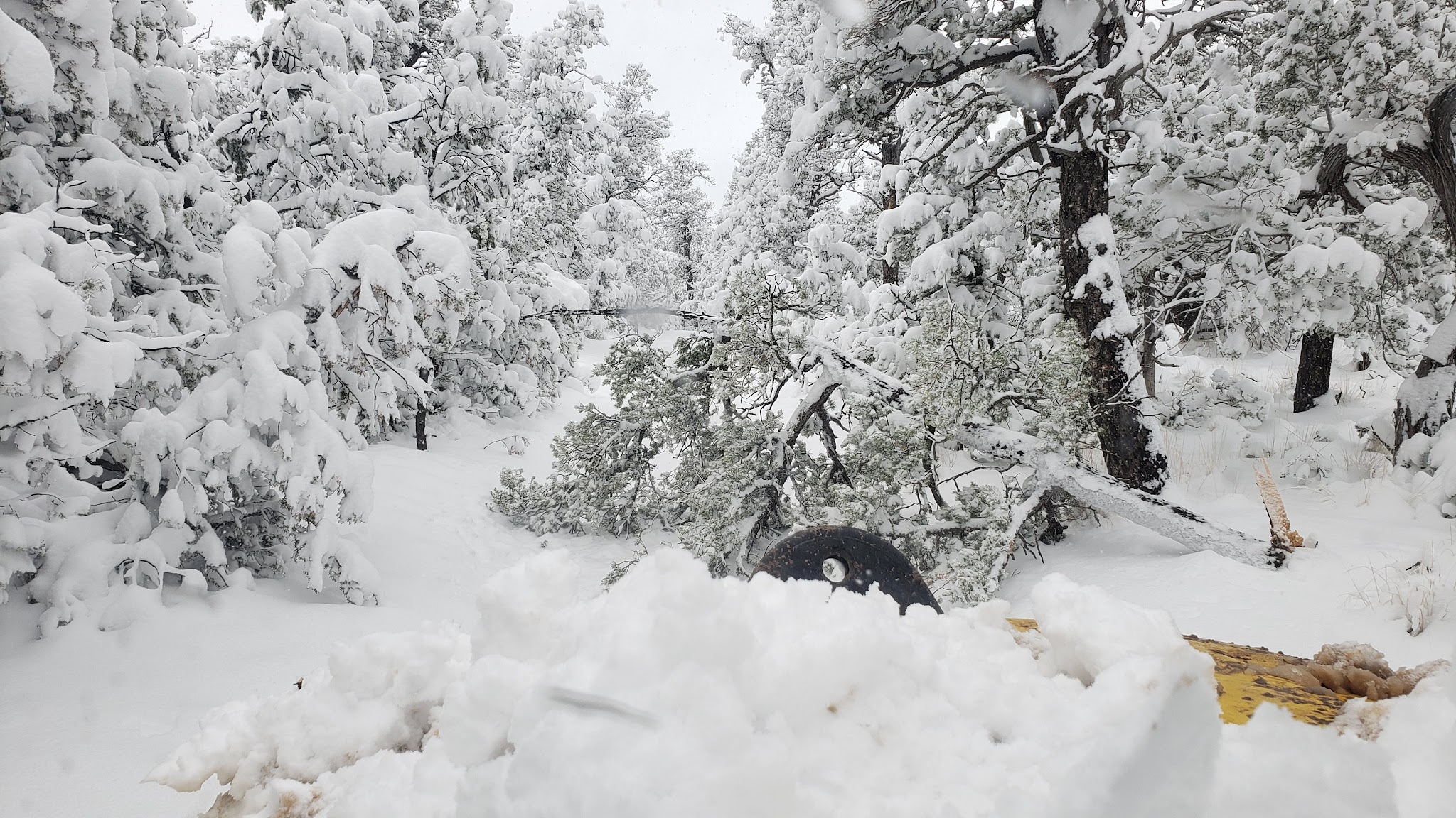 Cedro Peak Trailhead - Tijeras, NM