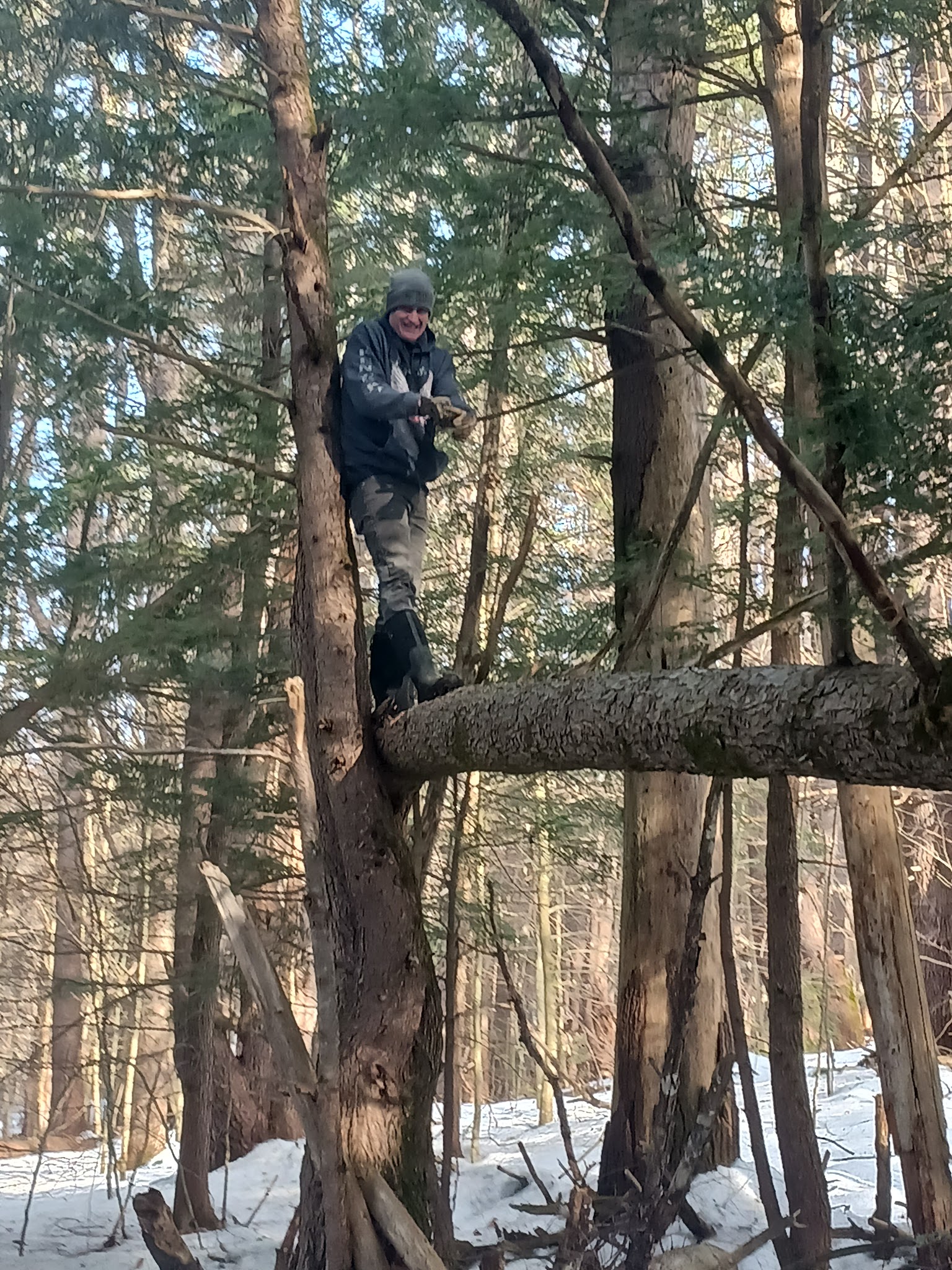 Buffalo Park conservation area - Tilton, NH