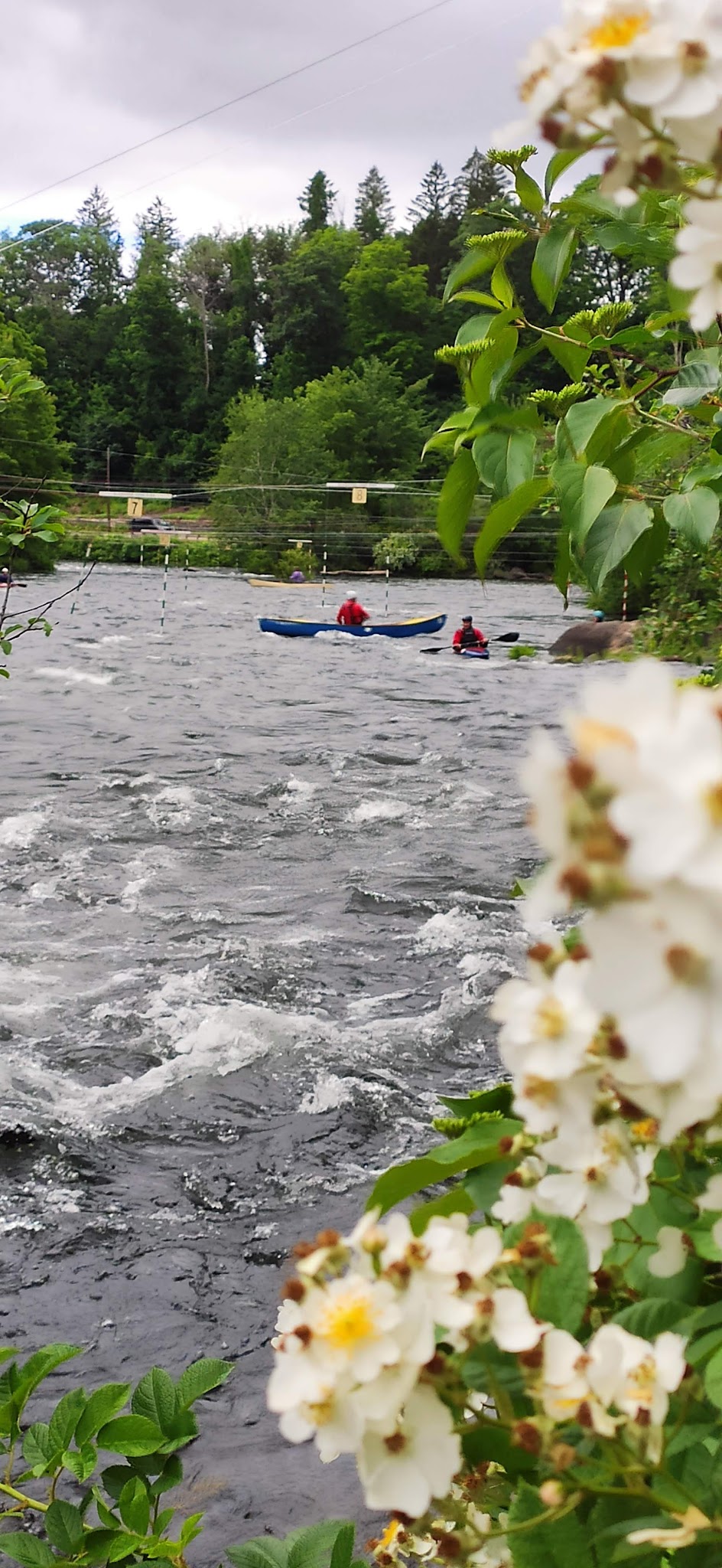 Winnipesaukee Trailhead Parking - Tilton, NH