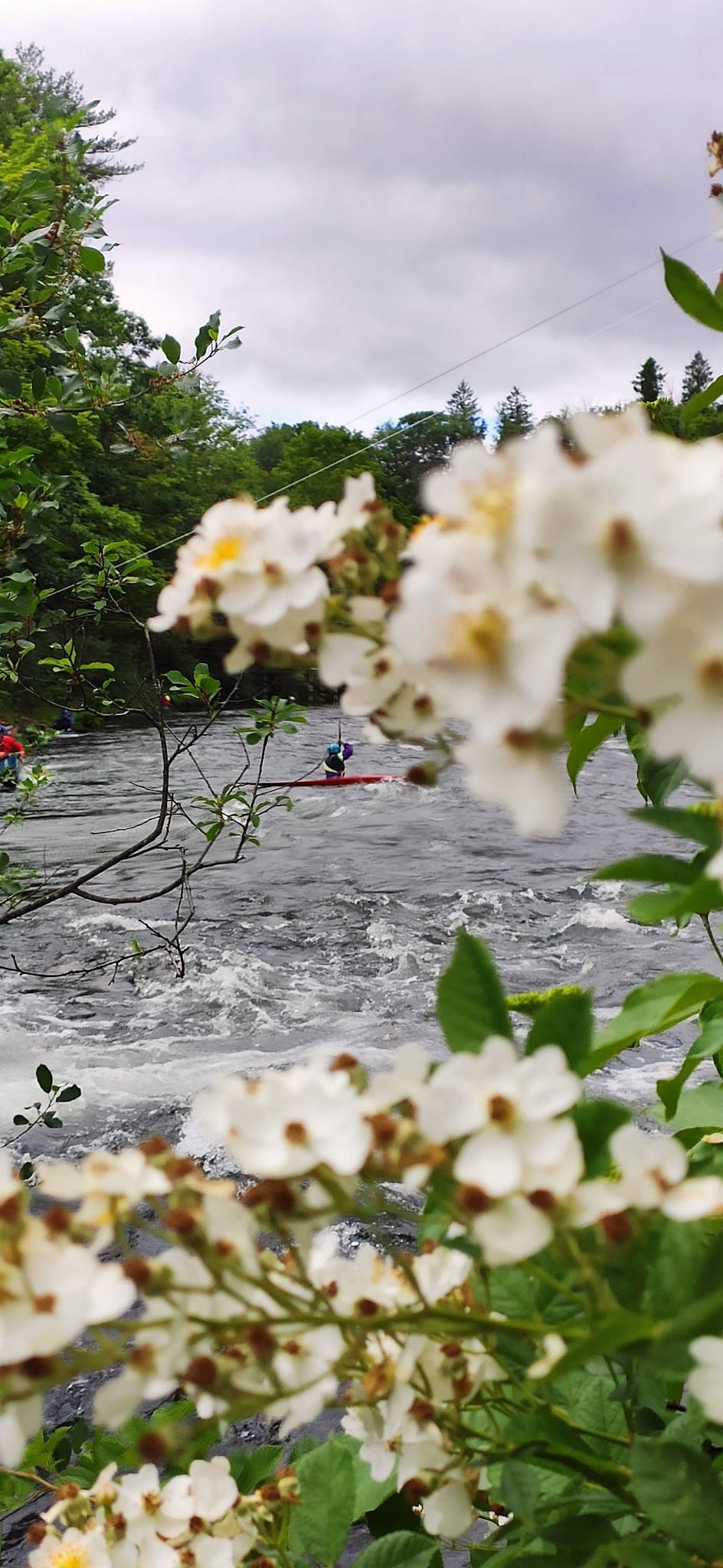 Winnipesaukee Trailhead Parking - Tilton, NH