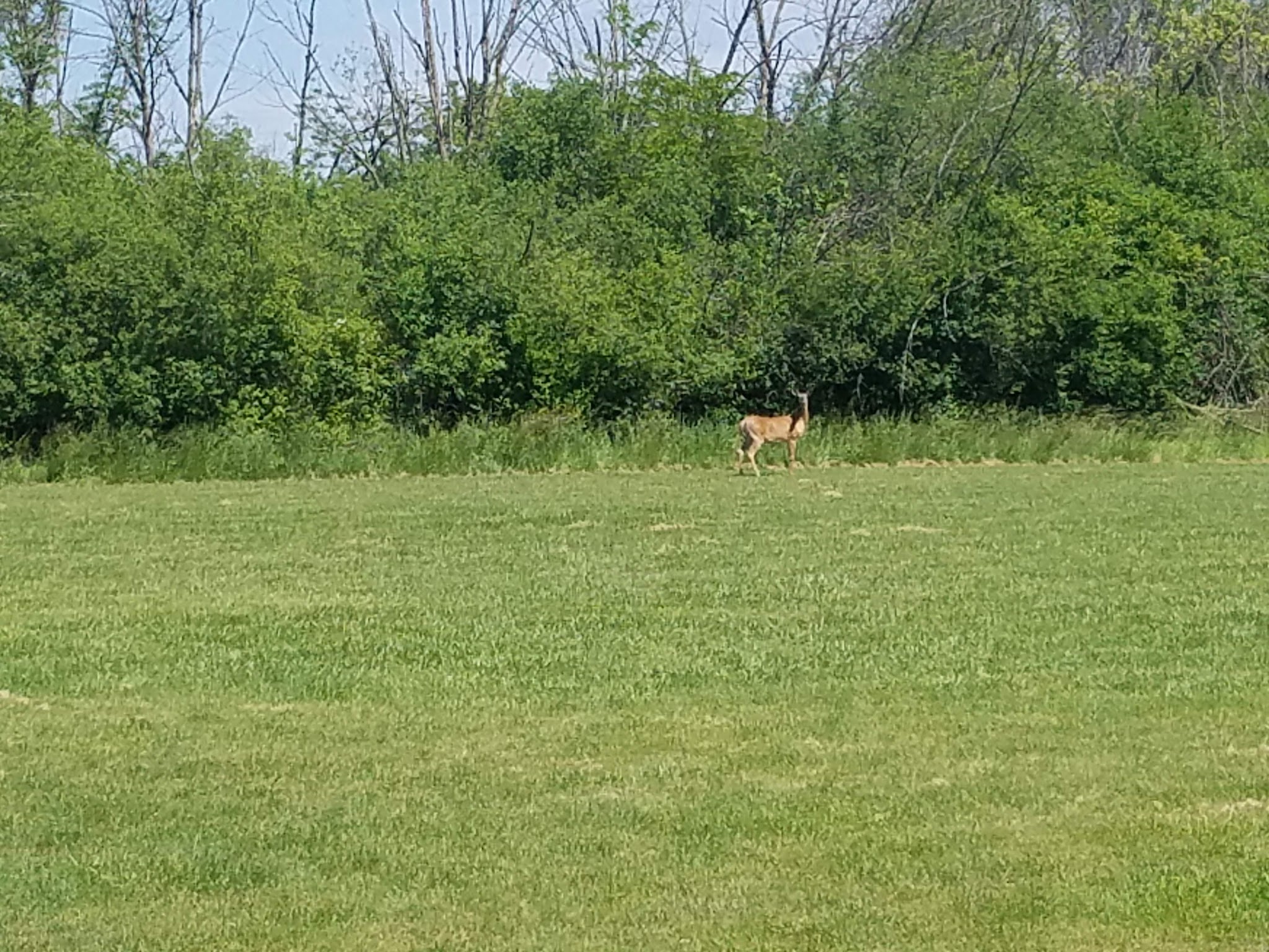 Bremen Grove - Tinley Park, IL