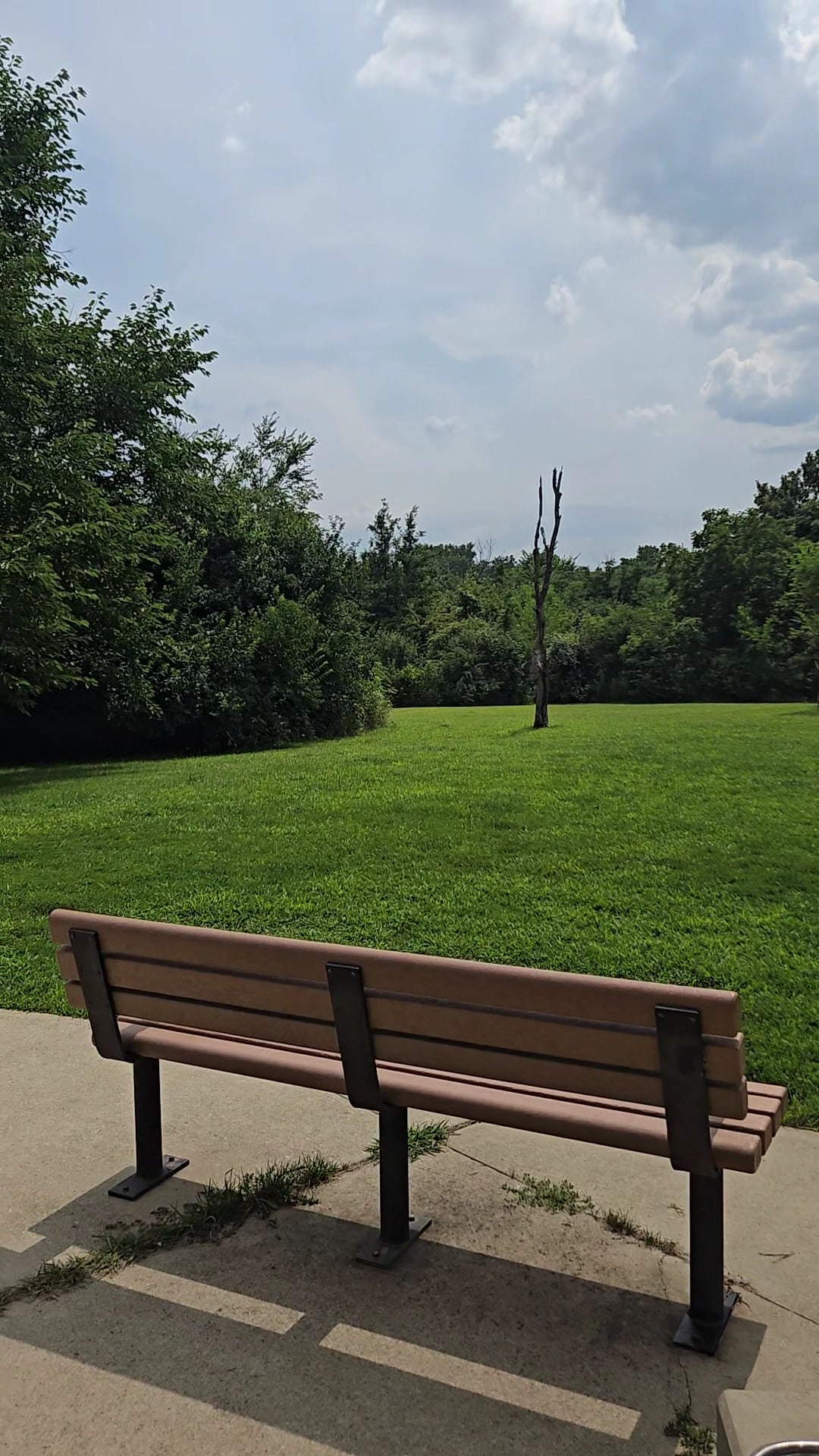 Bremen Grove Dog Park (membership required) - Tinley Park, IL