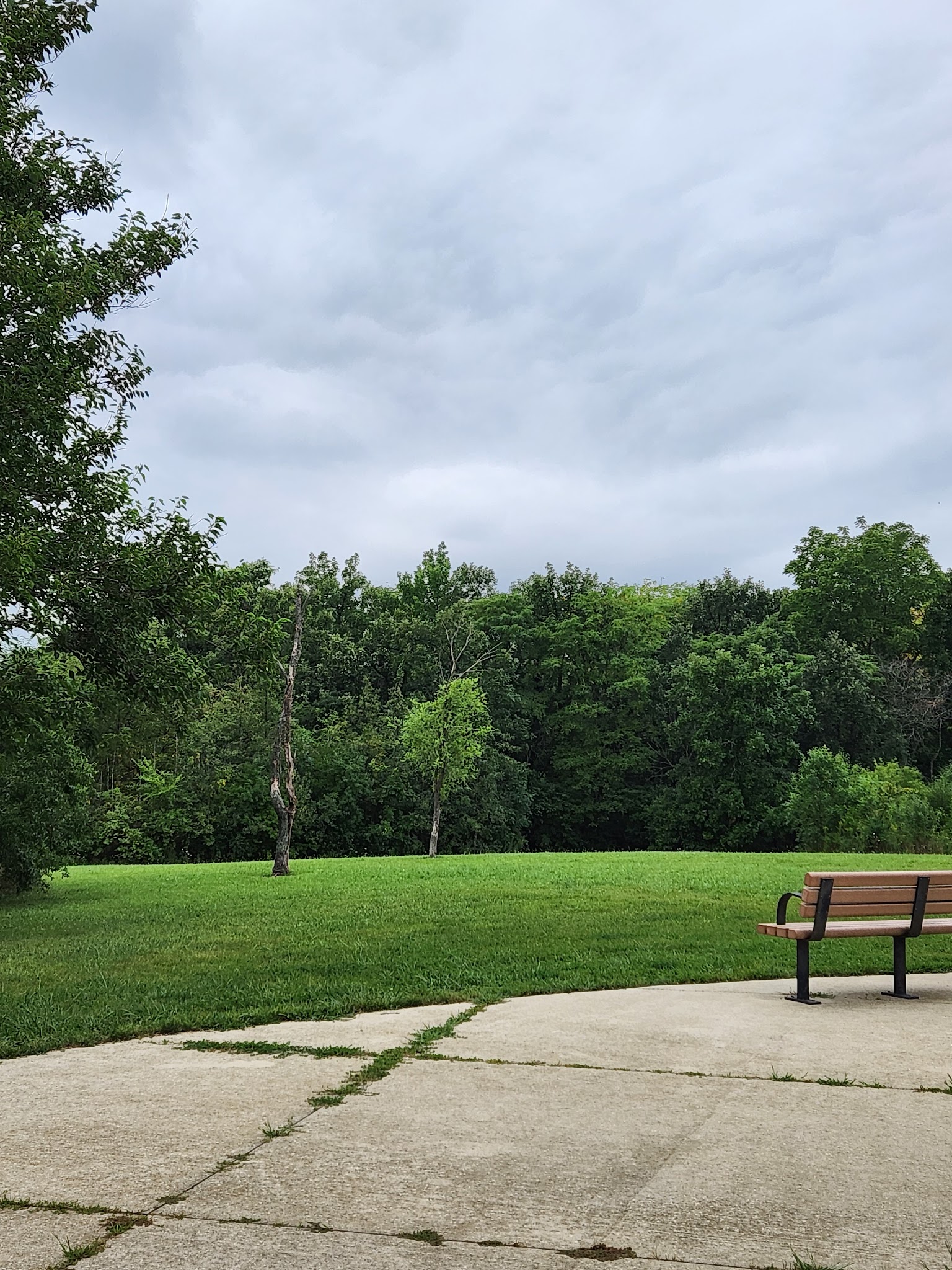 Bremen Grove Dog Park (membership required) - Tinley Park, IL