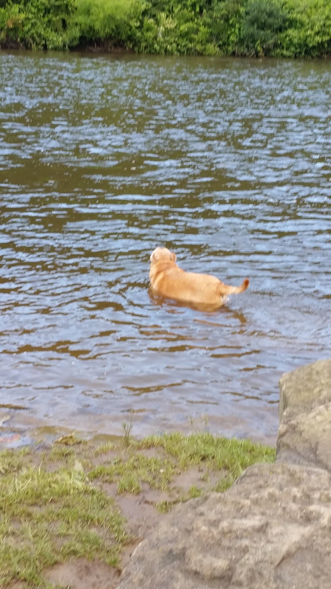 Ed Myer Complex - Titusville, PA
