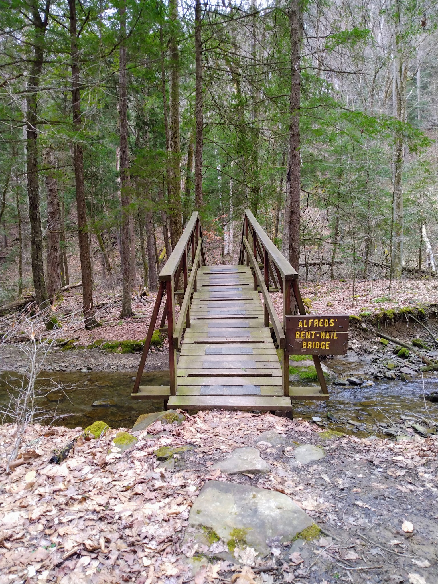 Wolfkiel Run Shelters - Titusville, PA