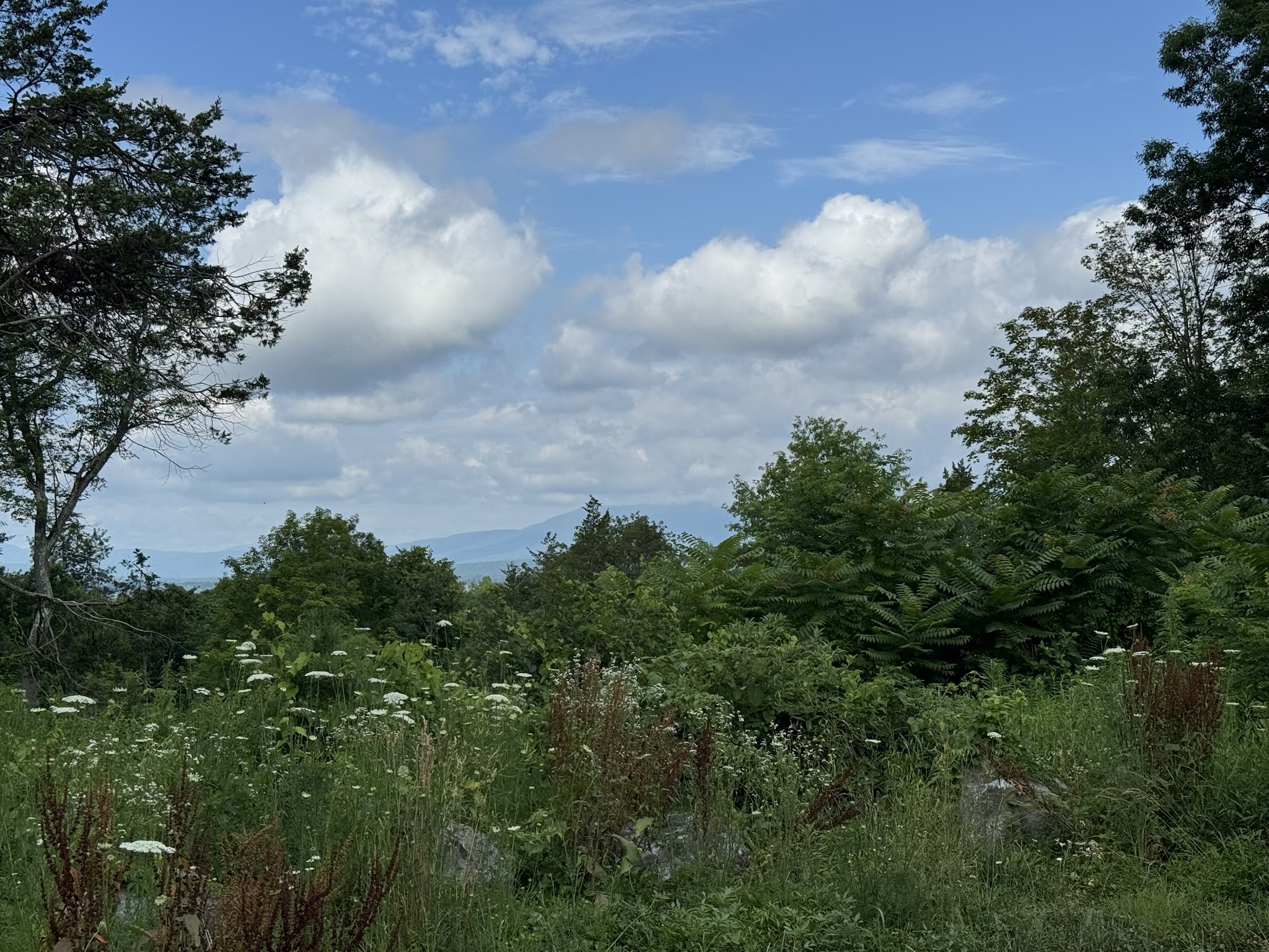 Tivoli Bays Management Area Parking - Tivoli, NY