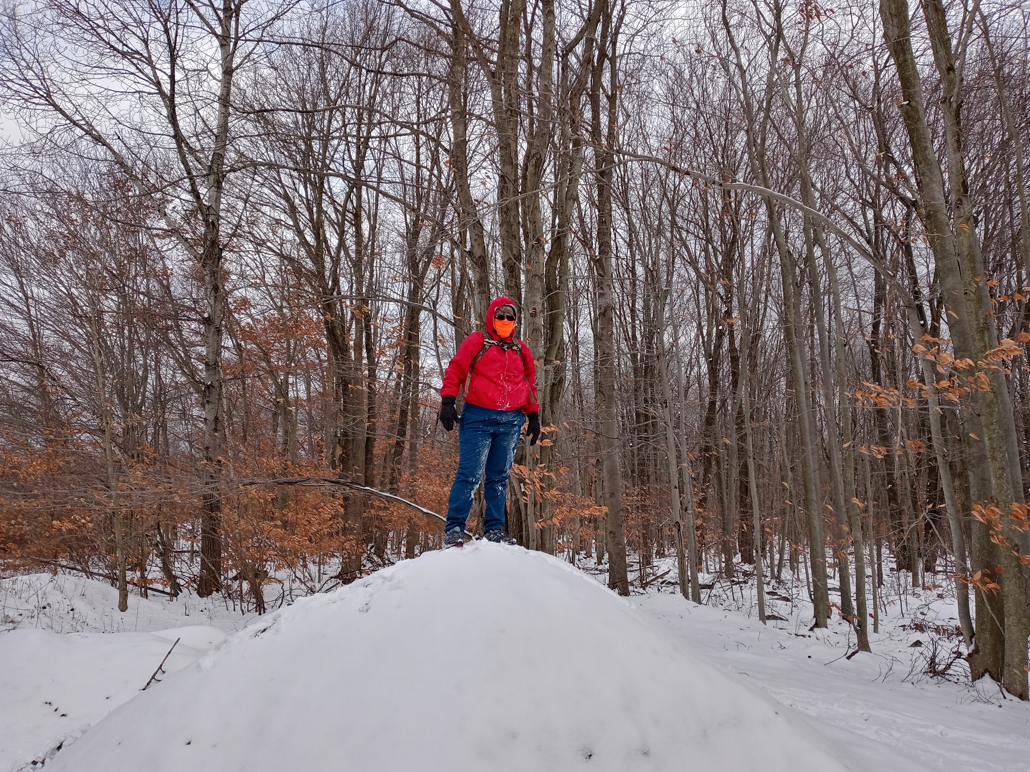 Coolbaugh Township Municipal Park - Tobyhanna, PA