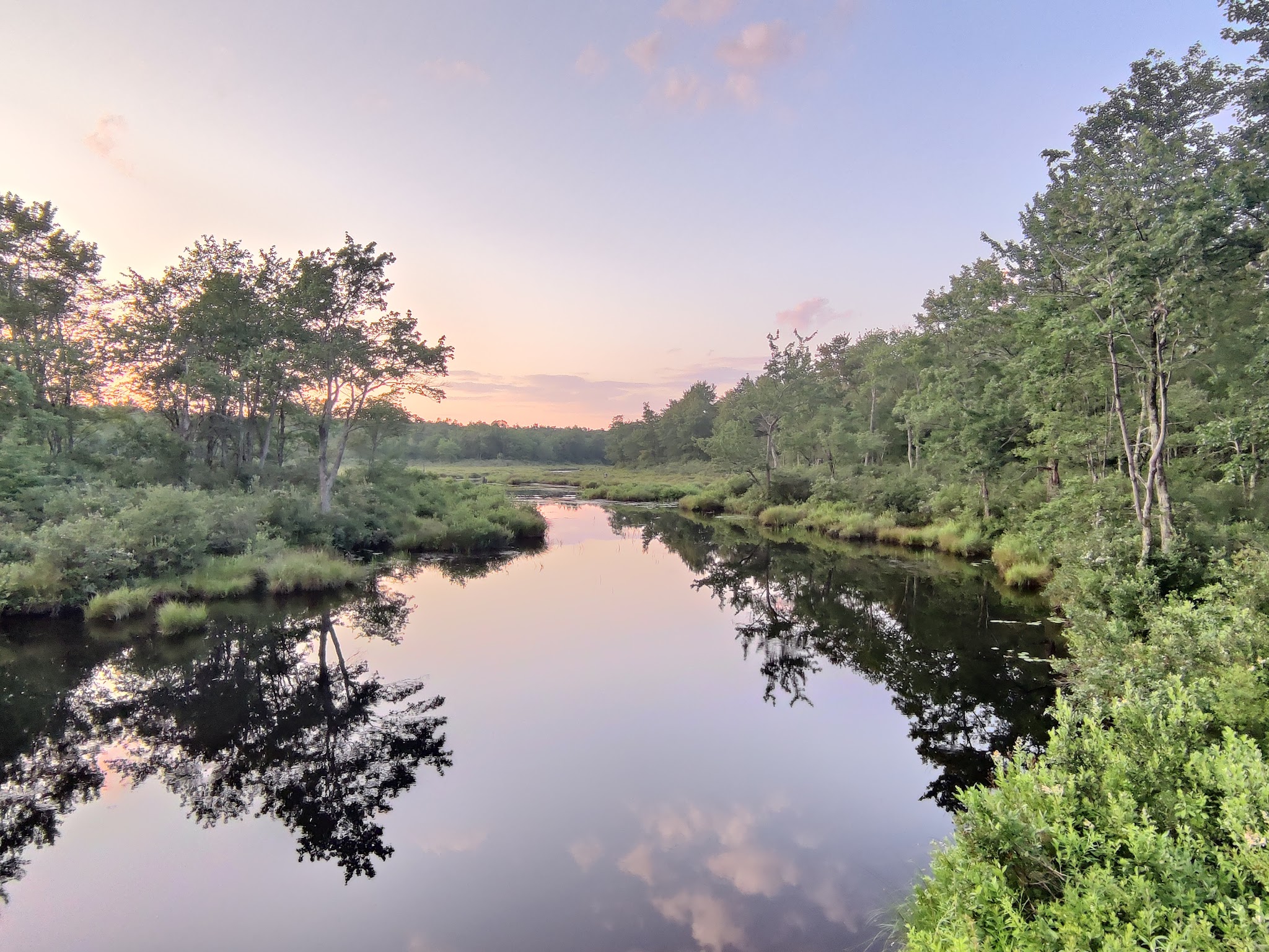 Tobyhanna State Park - Tobyhanna, PA