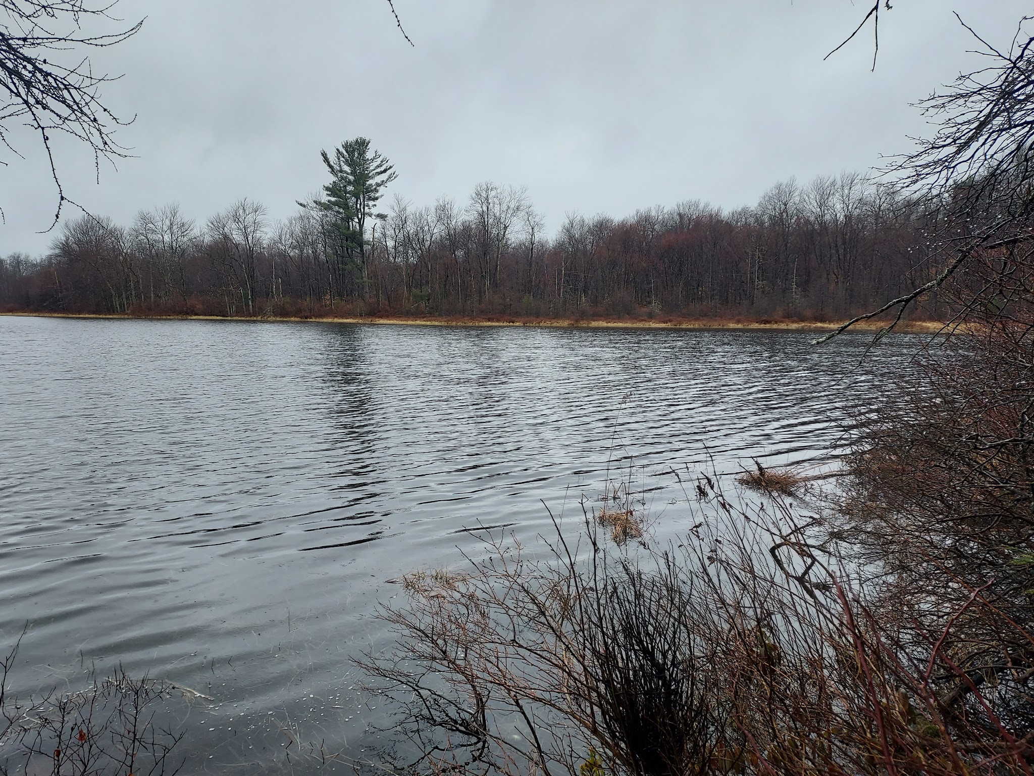 Wiley Preserve - Tobyhanna, PA