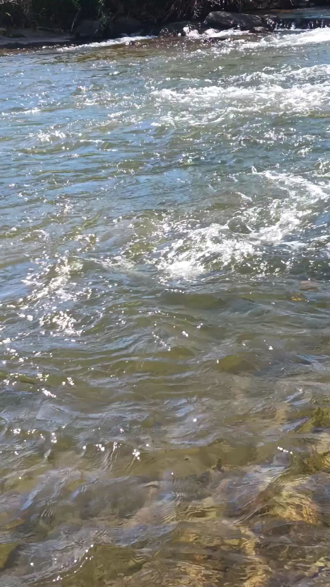 Todd Island Park - Todd, NC