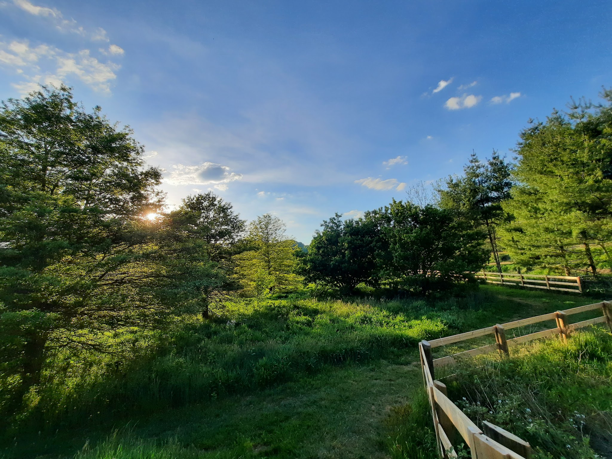 Todd Island Park - Todd, NC