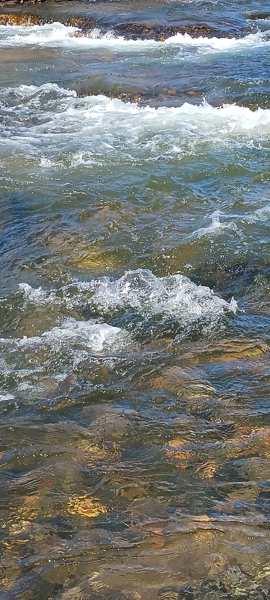 Todd Island Park - Todd, NC