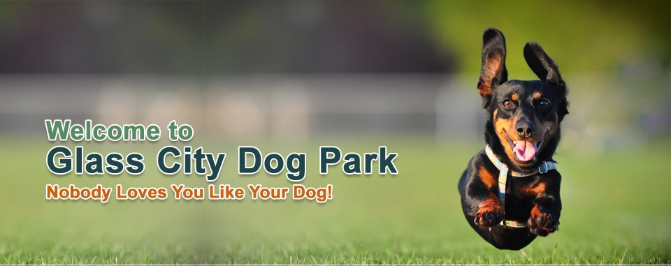 Glass City Dog Park (Membership Required) - Toledo, OH