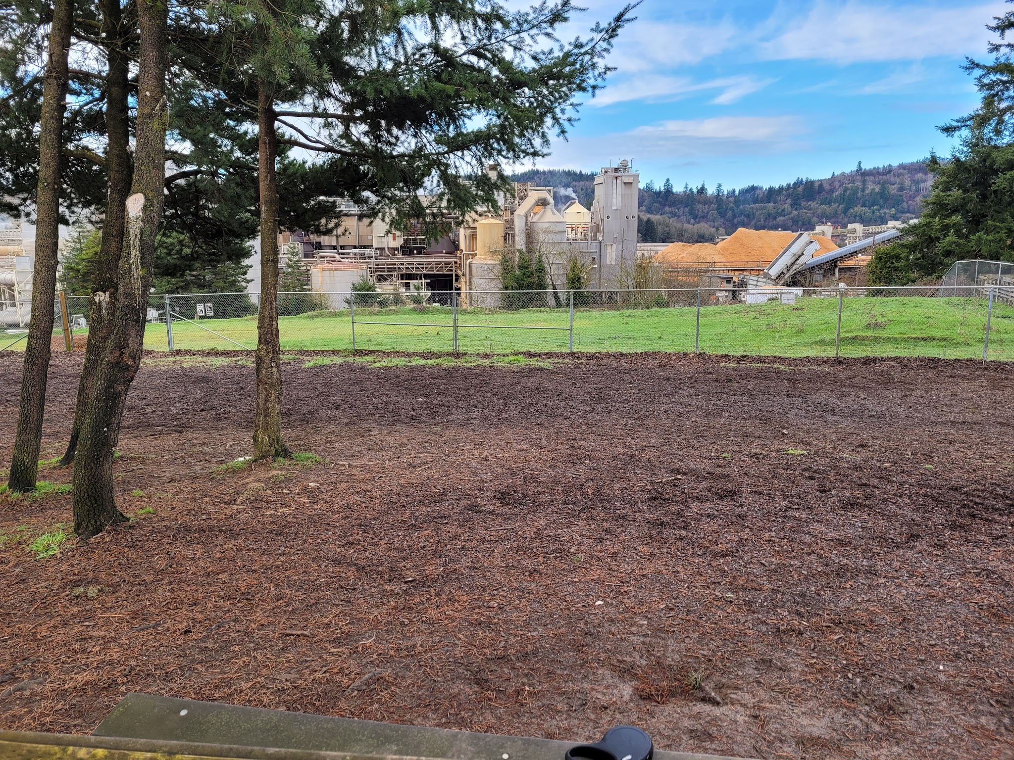Julie Rockwell Memorial Dog Park - Toledo, OR