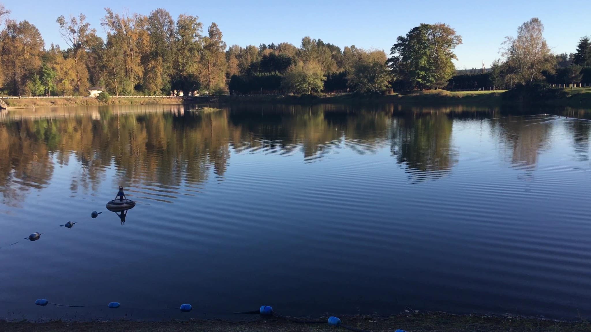 South County Park Wallace Pond Toledo - Toledo, WA