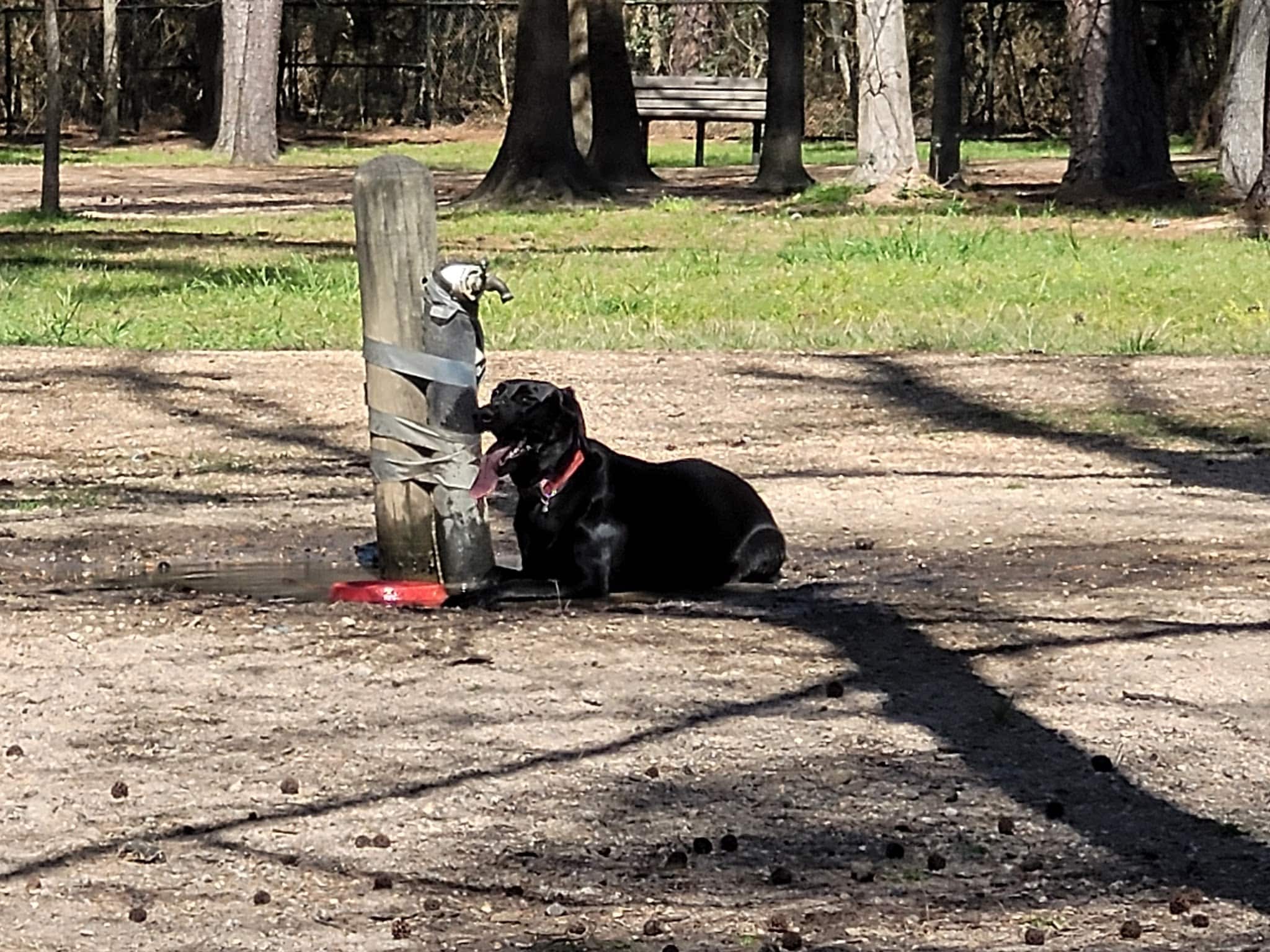 Burroughs Dog Park - Tomball, TX