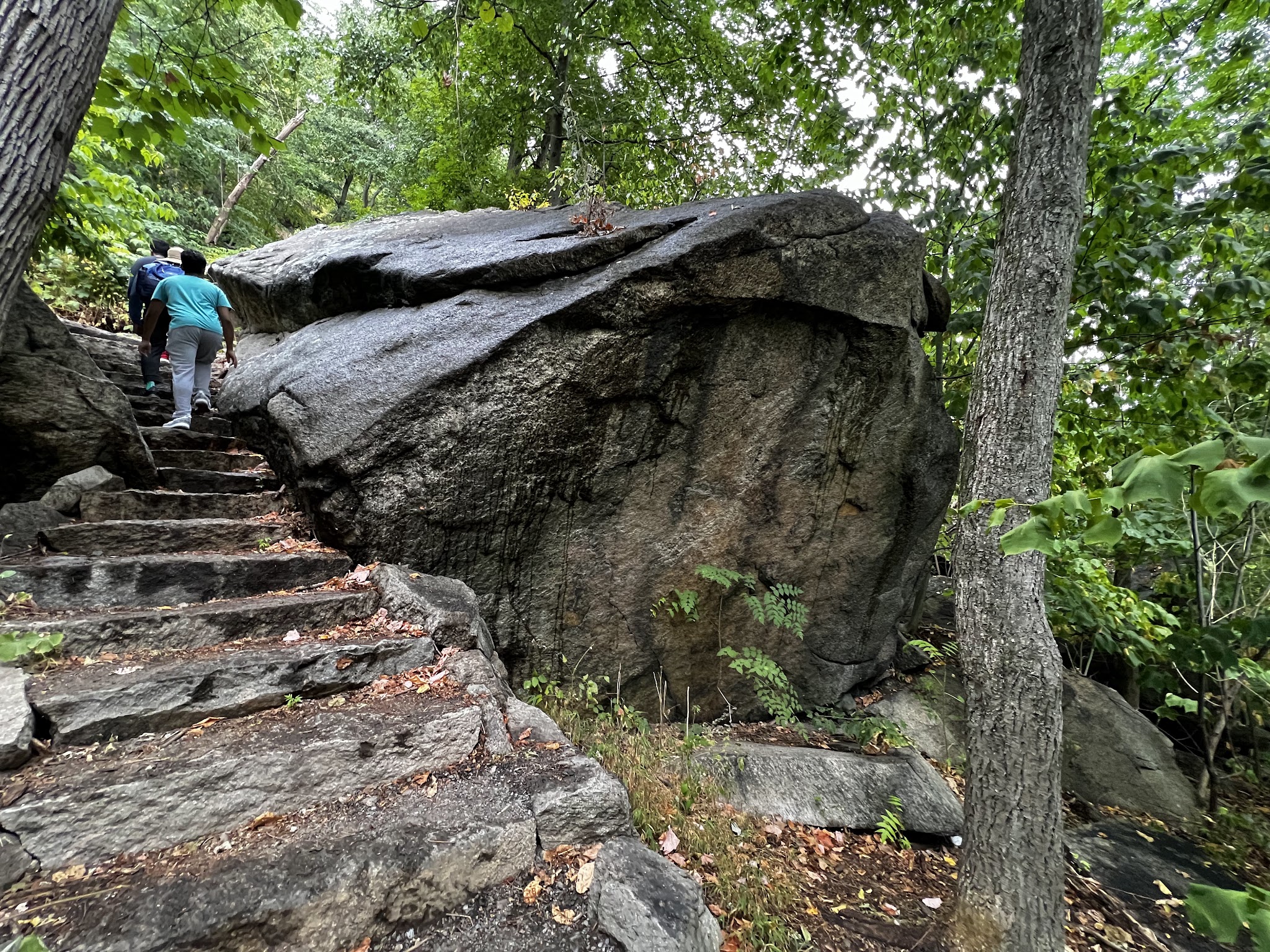 Suffern Bear Mountain Trail Trailhead - Tomkins Cove, NY