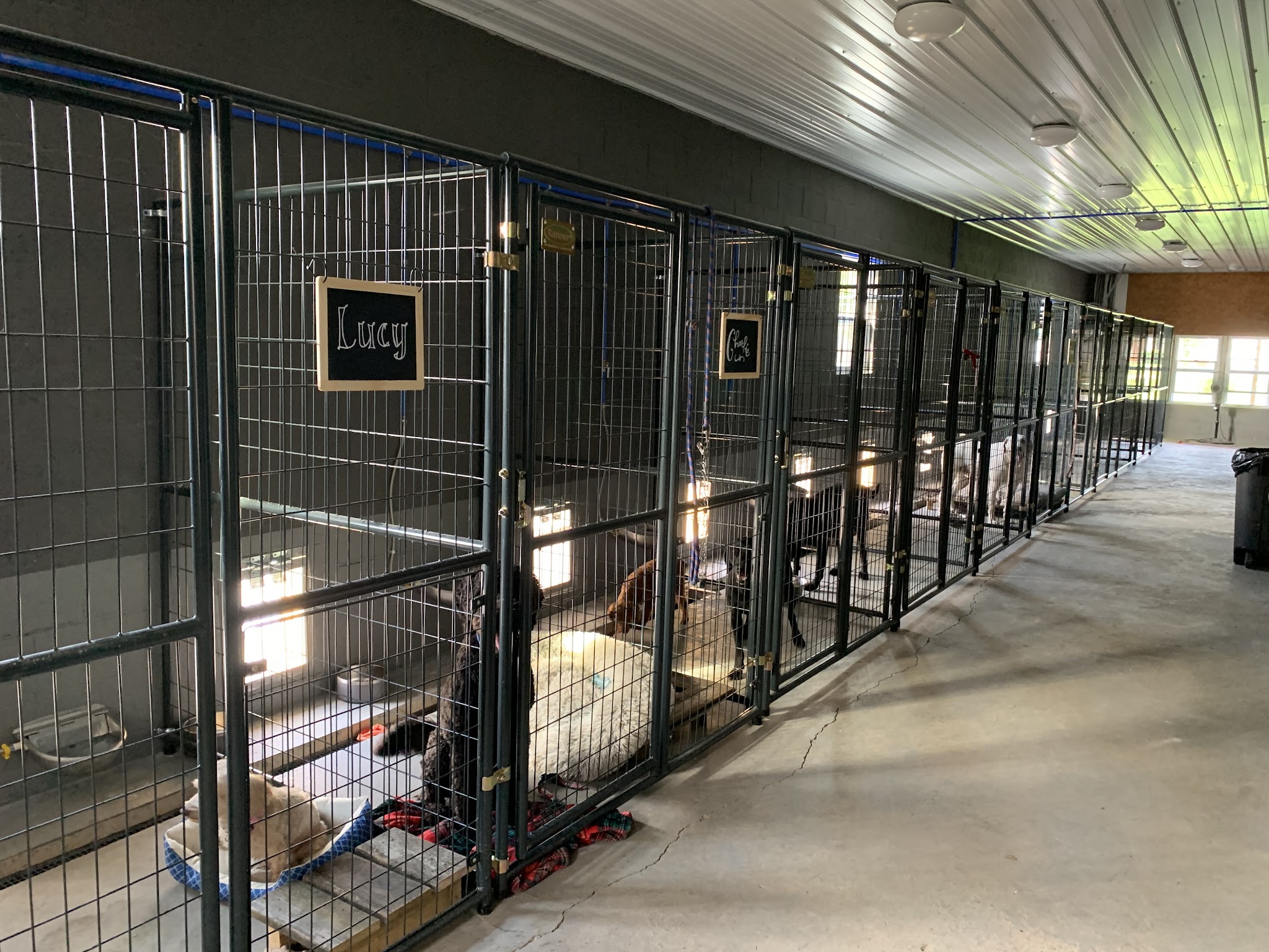 Dog E Stylz Bath & Board - Tompkinsville, KY