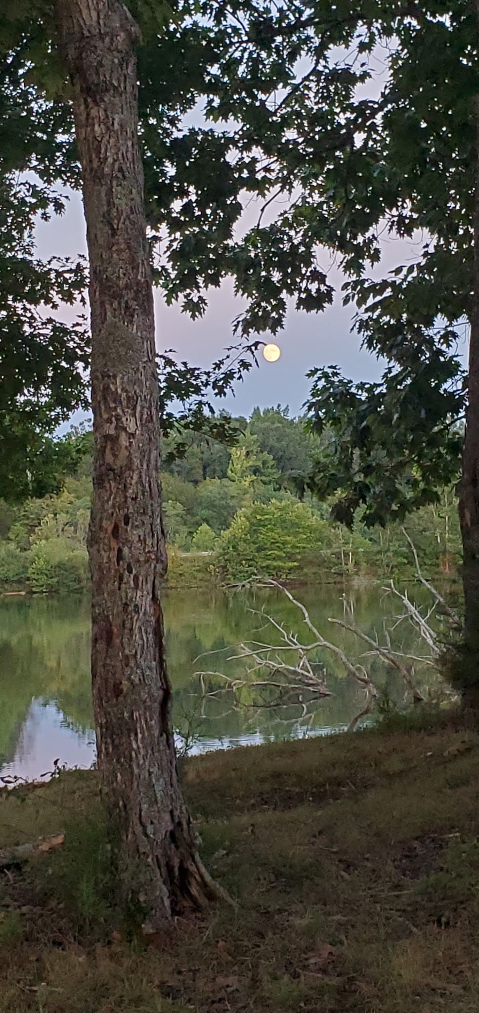 Tompkinsville City Park - Tompkinsville, KY