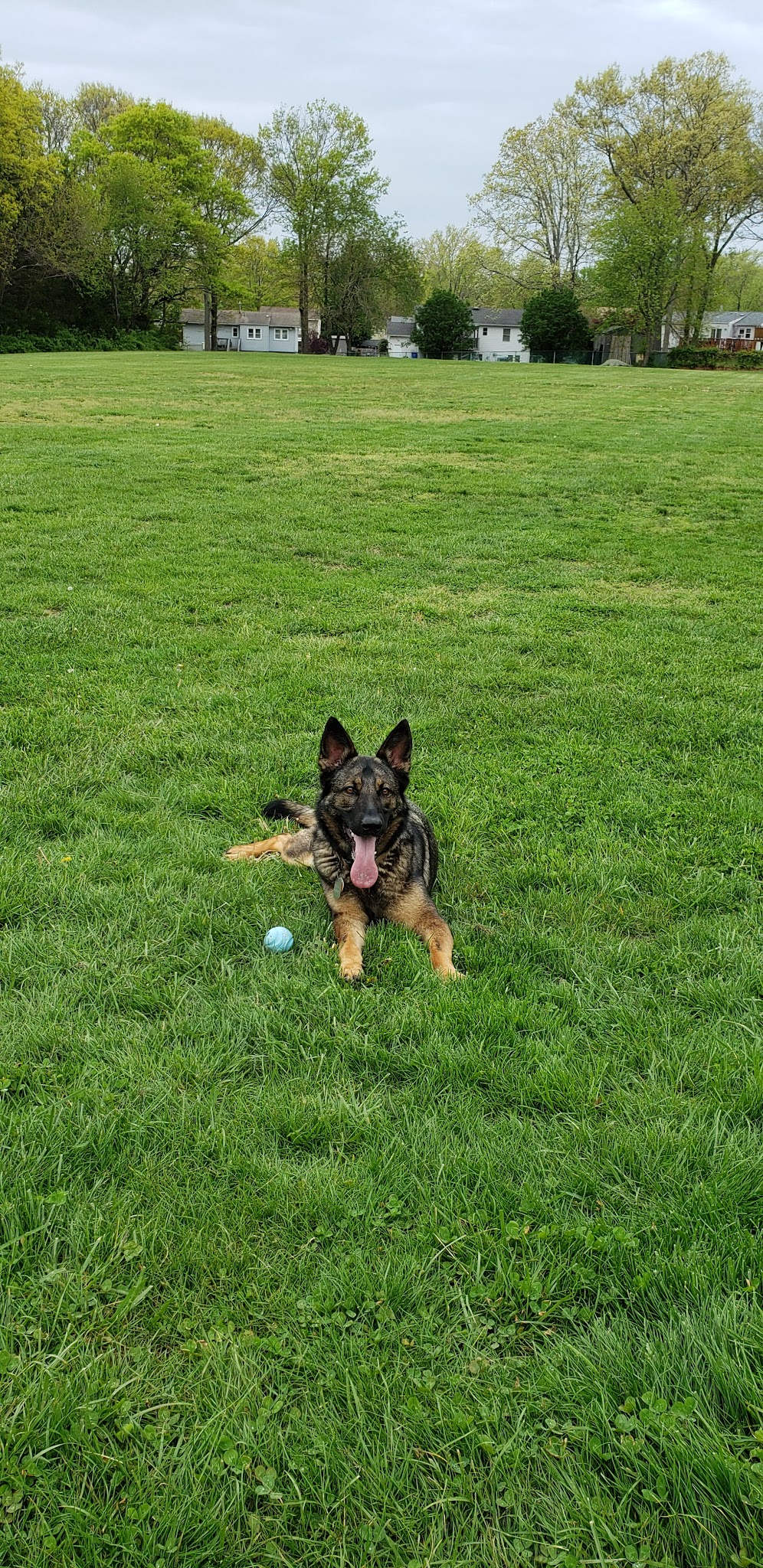 Deer Hollow Park - Toms River, NJ