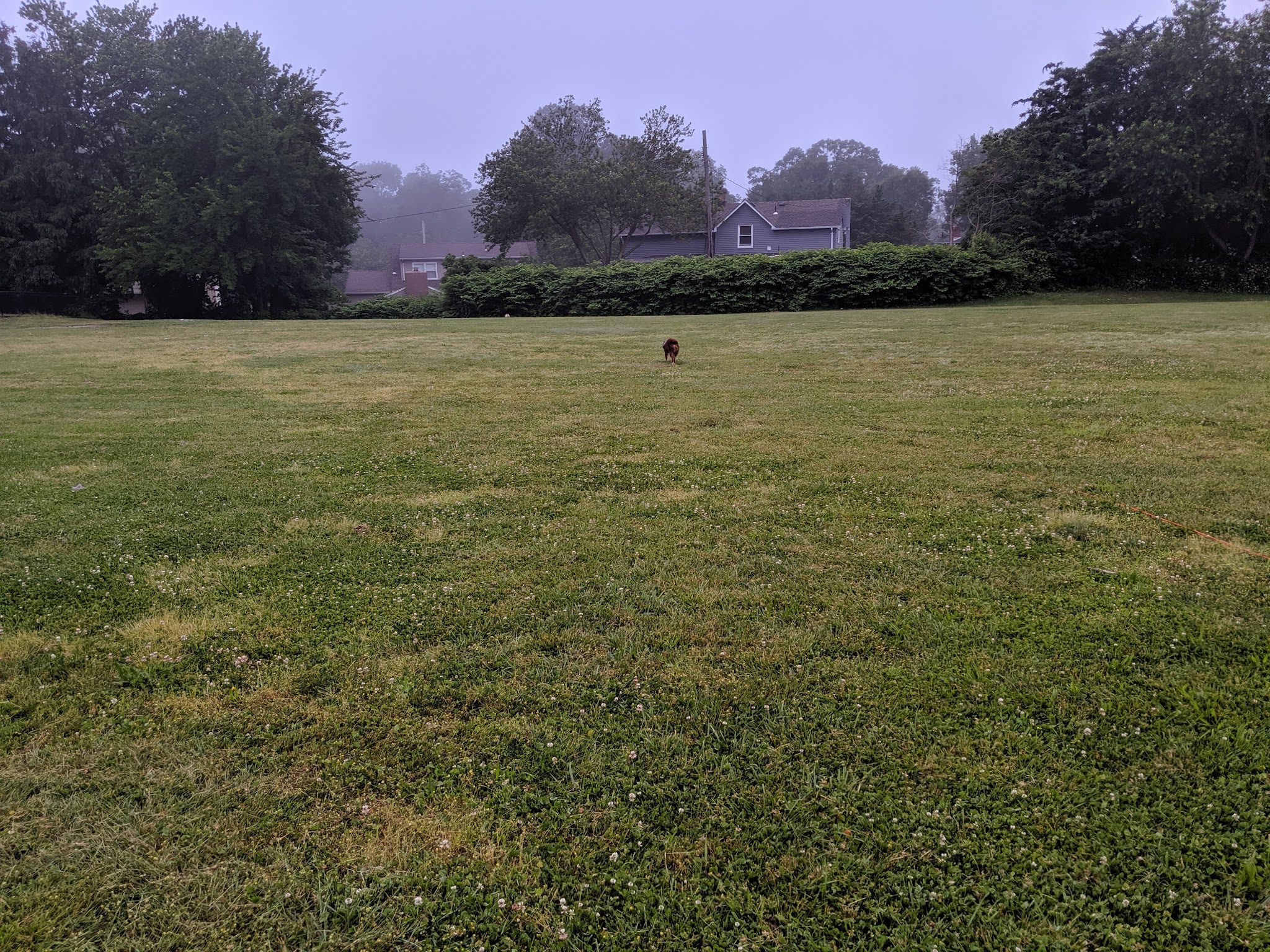 Deer Hollow Park - Toms River, NJ